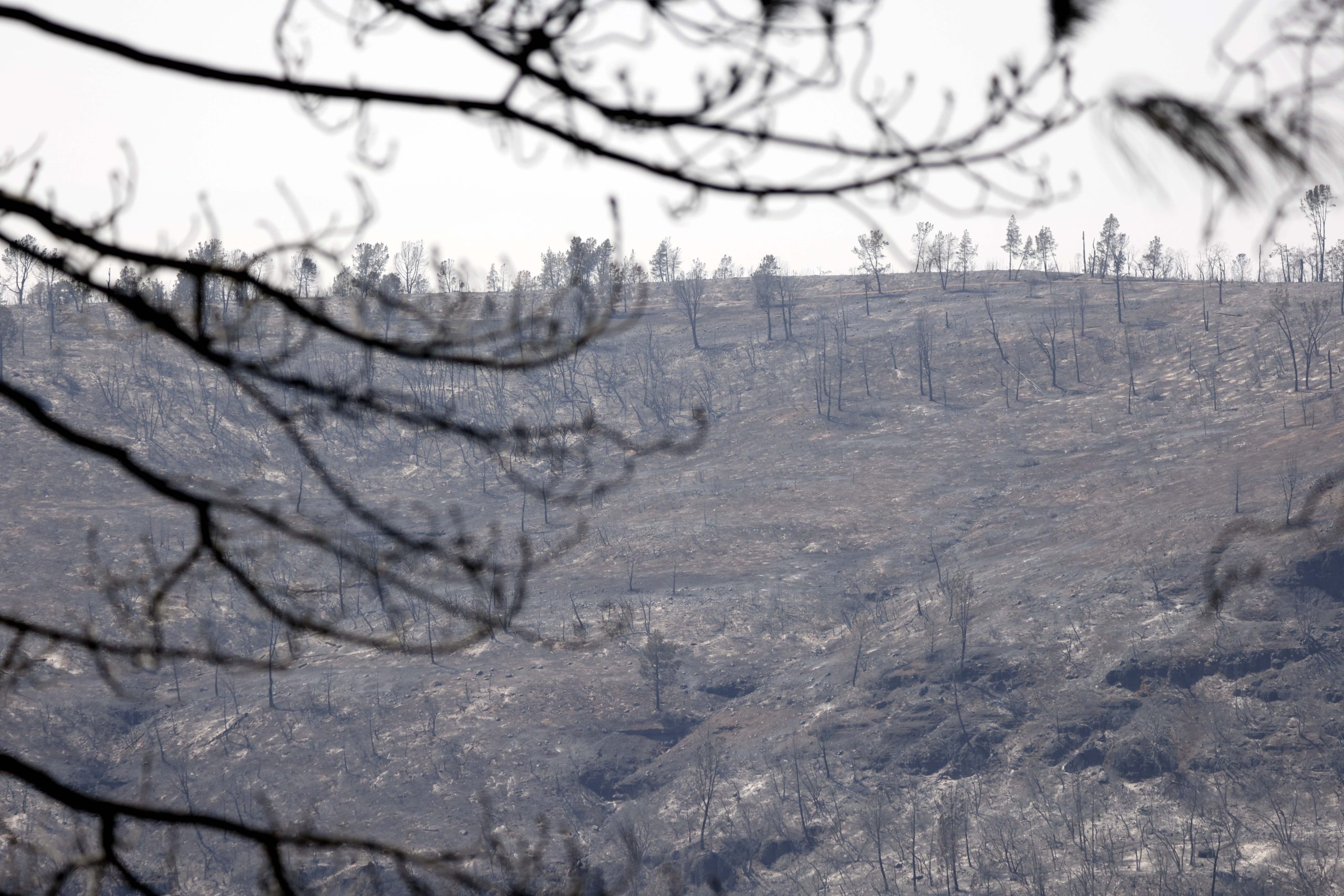 Calor extremo de julho provocou “impactos devastadores”, avisa Organização Meteorológica Mundial