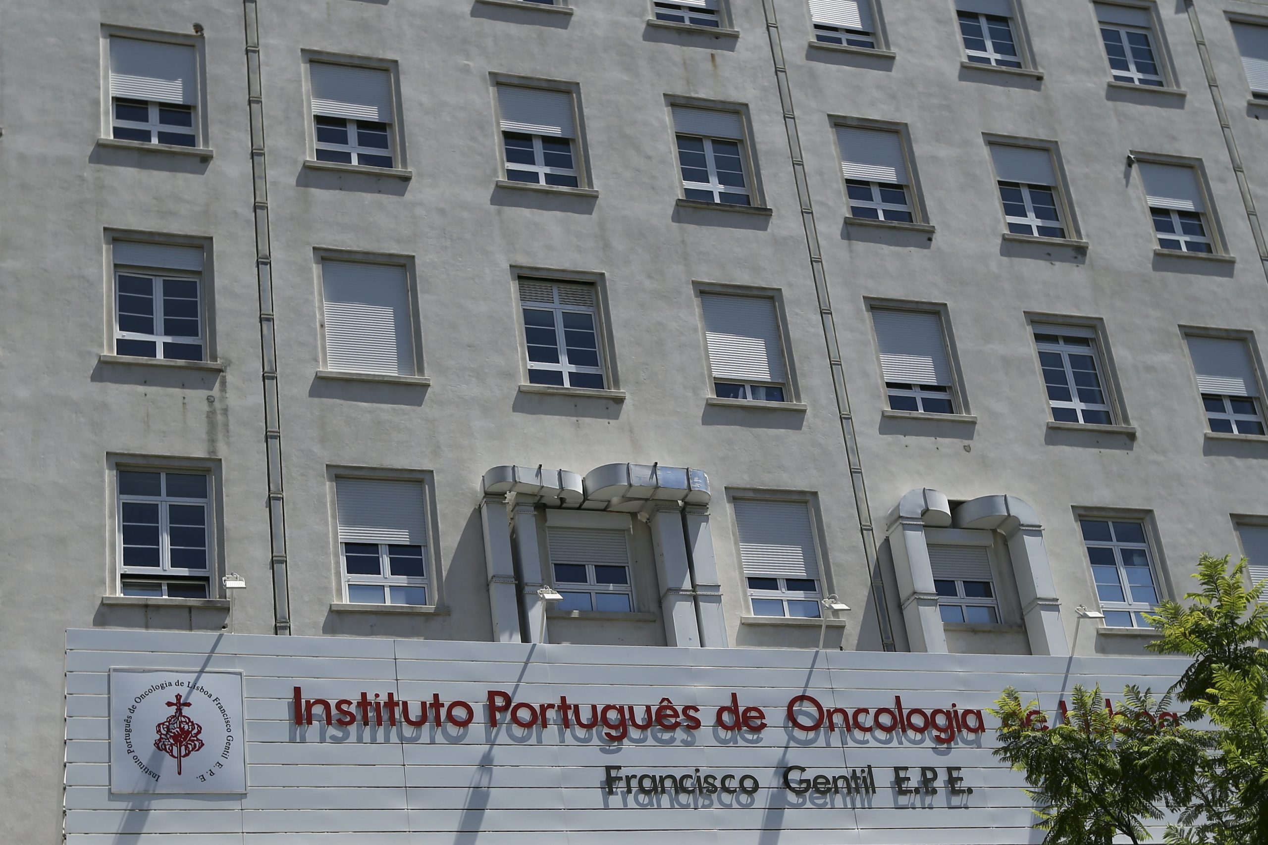 IPO Lisboa lança novo portal de internet no Dia Mundial da Luta contra o Cancro