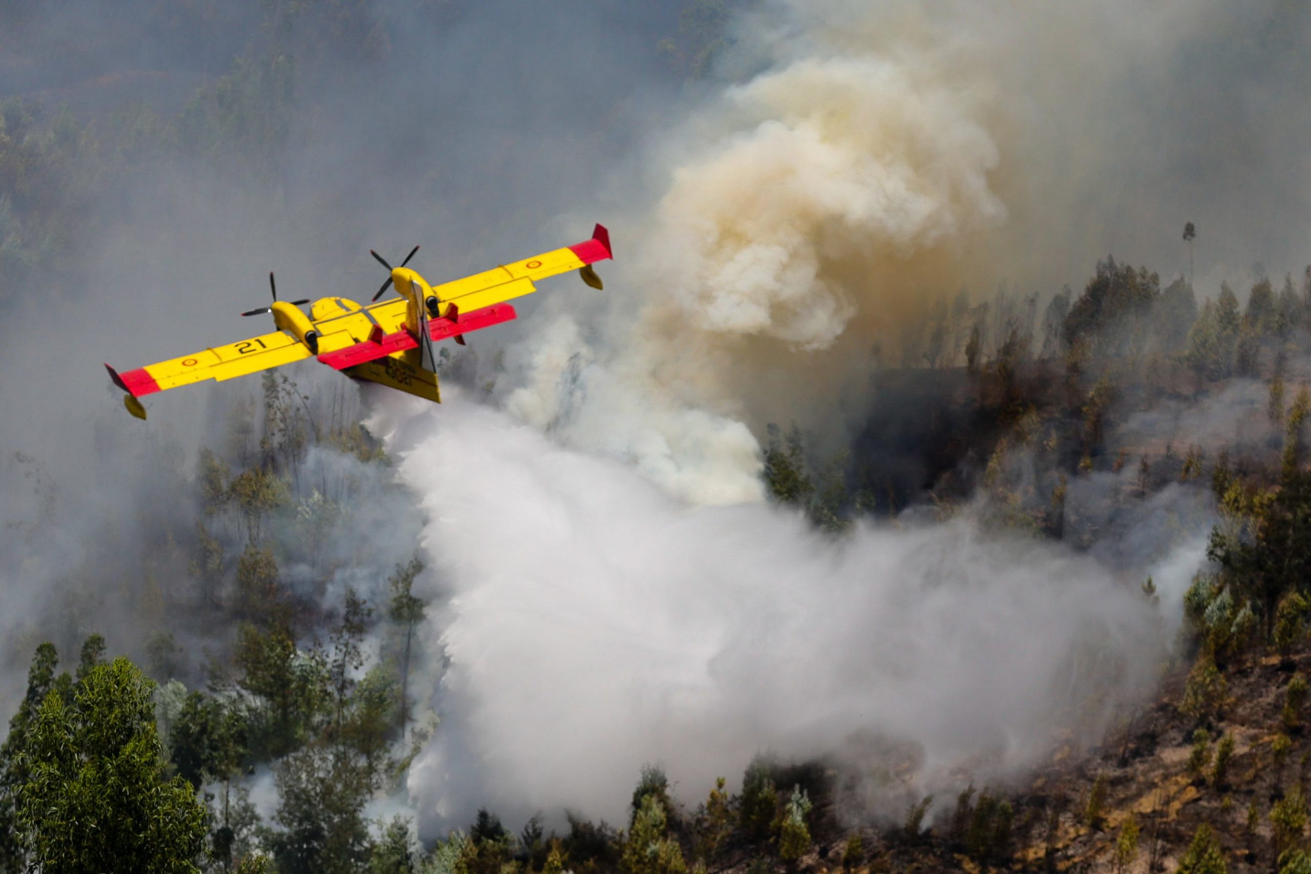“Nenhum avião ao serviço da Proteção Civil caiu”. História de um avião que afinal ninguém sabe se existiu
