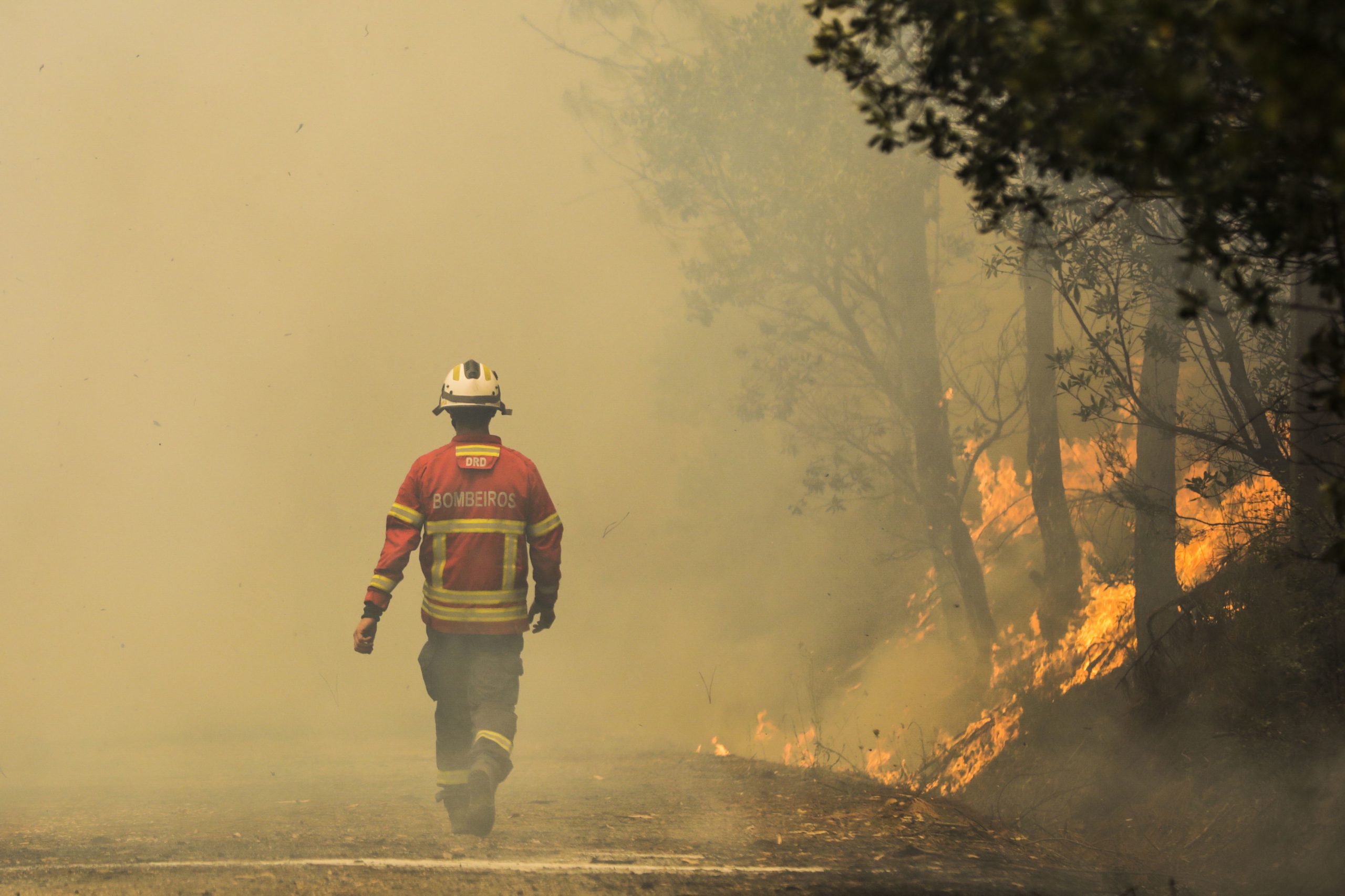 Incêndio na Senhora da Graça, Mondim de Basto, ainda com uma frente ativa
