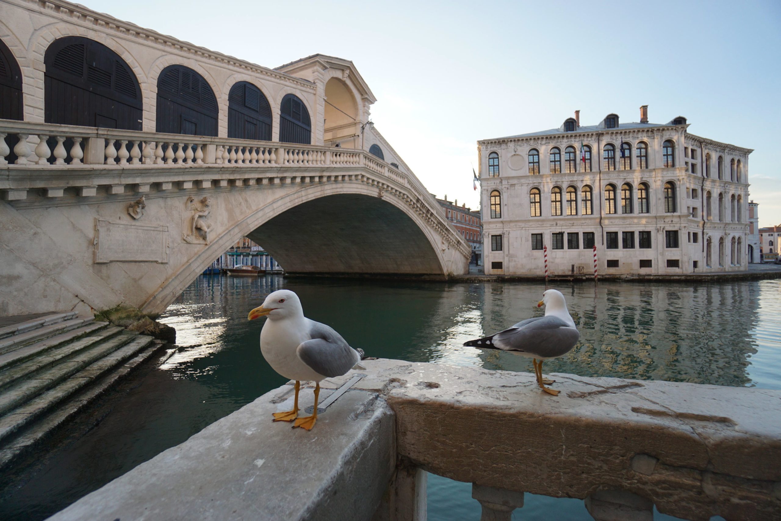Bienal de Arquitetura de Veneza confirma abertura a 22 de maio com programa expandido