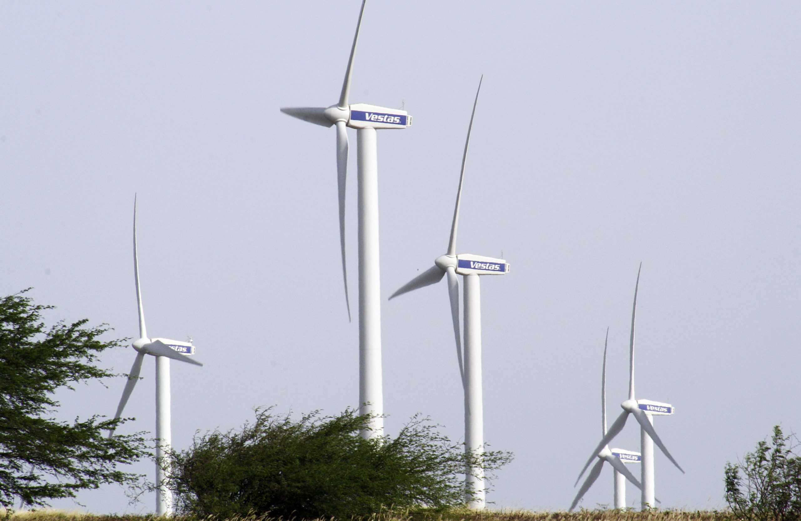 Governo cria sorteio para licenciamento de projetos de energia renovável