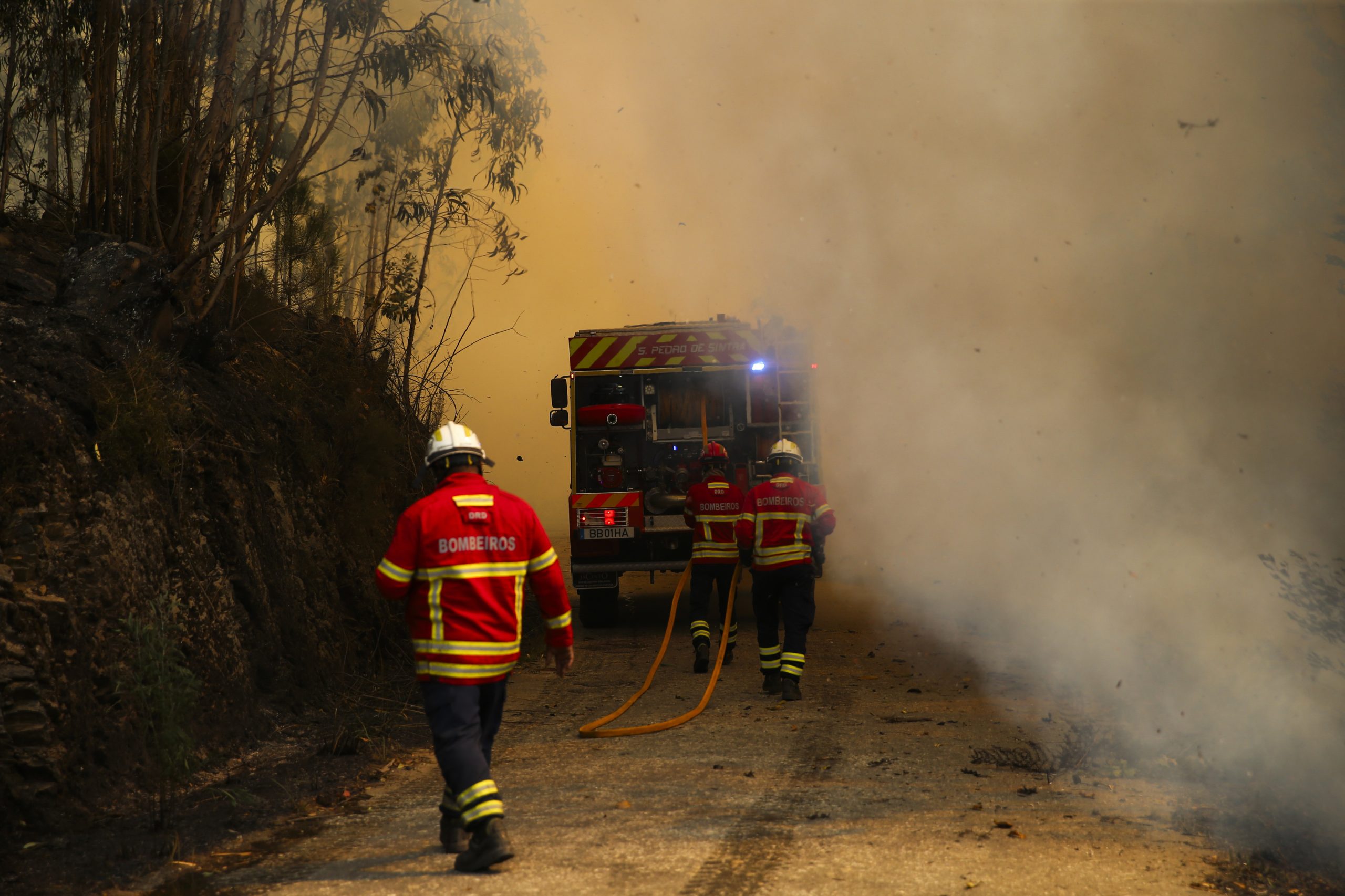 Governo cria grupo de trabalho para dar “maior atratividade às carreiras” dos bombeiros profissionais e voluntários