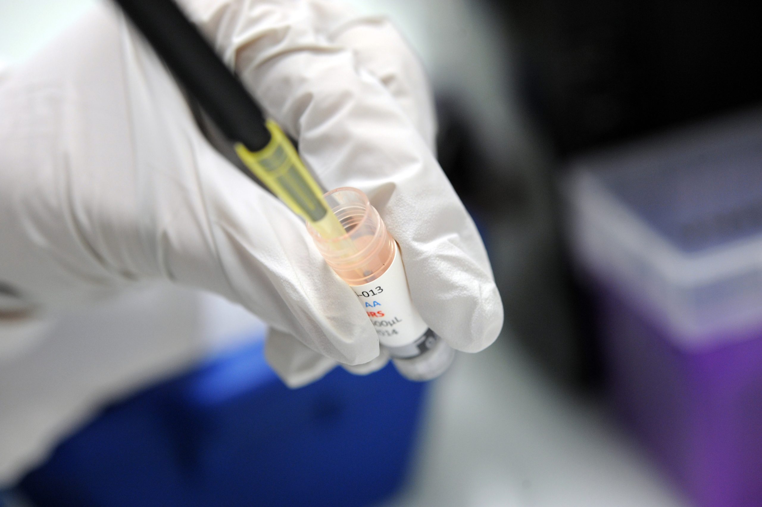 Covid-19: Cientistas portugueses que criaram testes são “heróis precários”