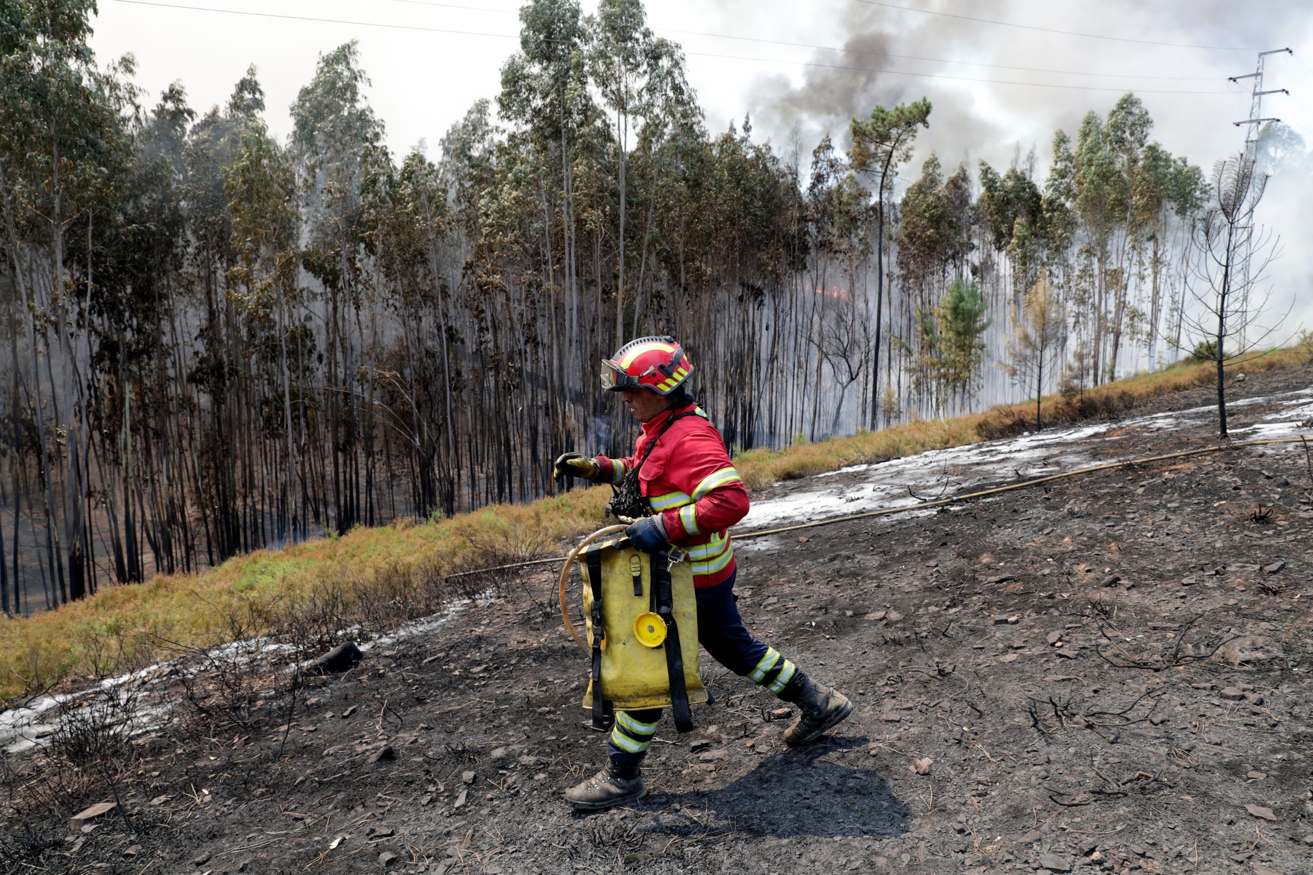 Incêndios: Fogo lavra com intensidade em duas frentes em Elvas