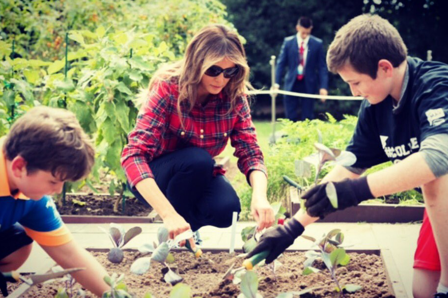 Melania cultiva horta da Casa Branca, iniciada por Michelle Obama
