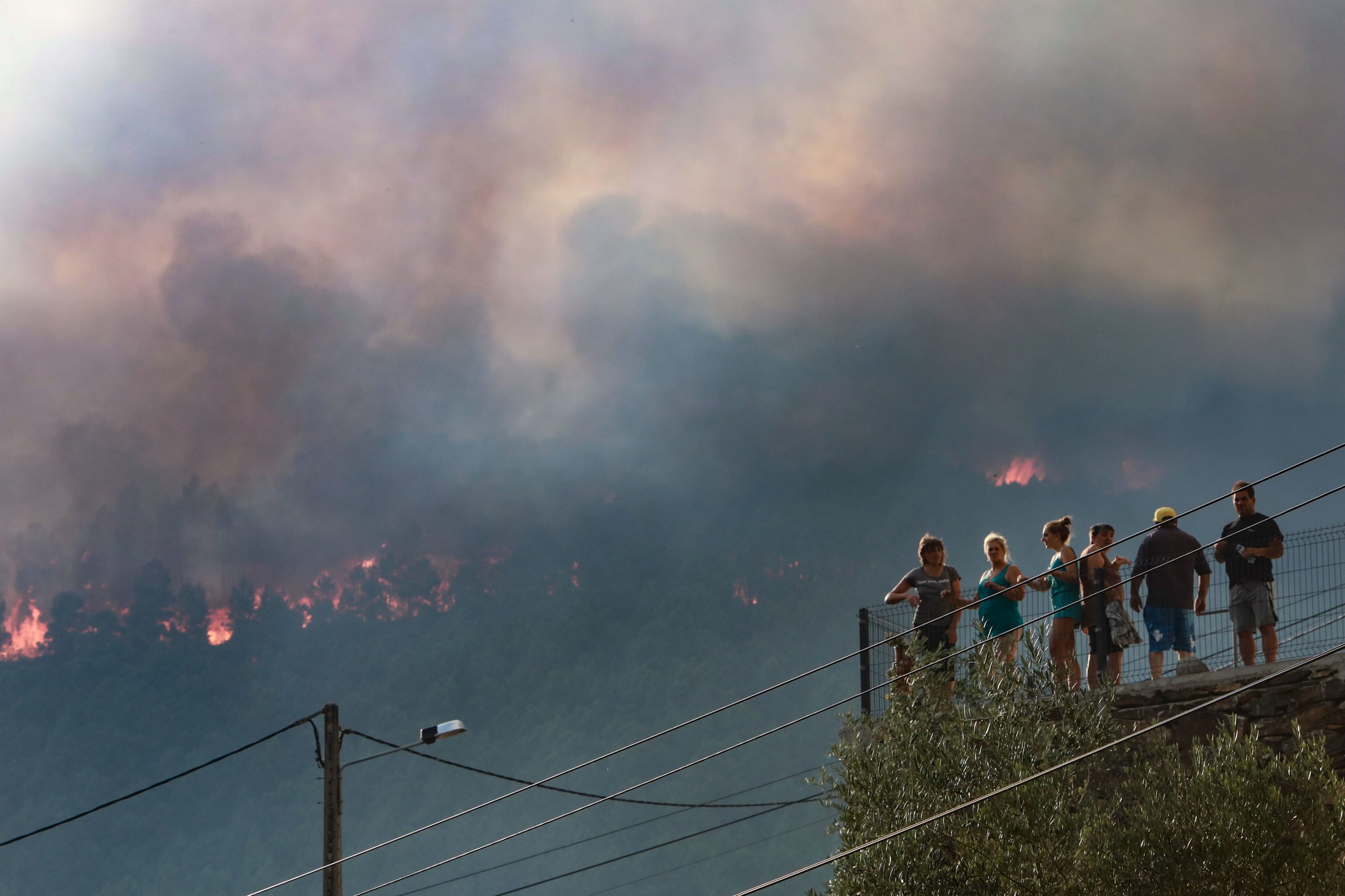 ICNF diz que prioridade é recuperar ecossistema da Serra da Estrela após incêndios