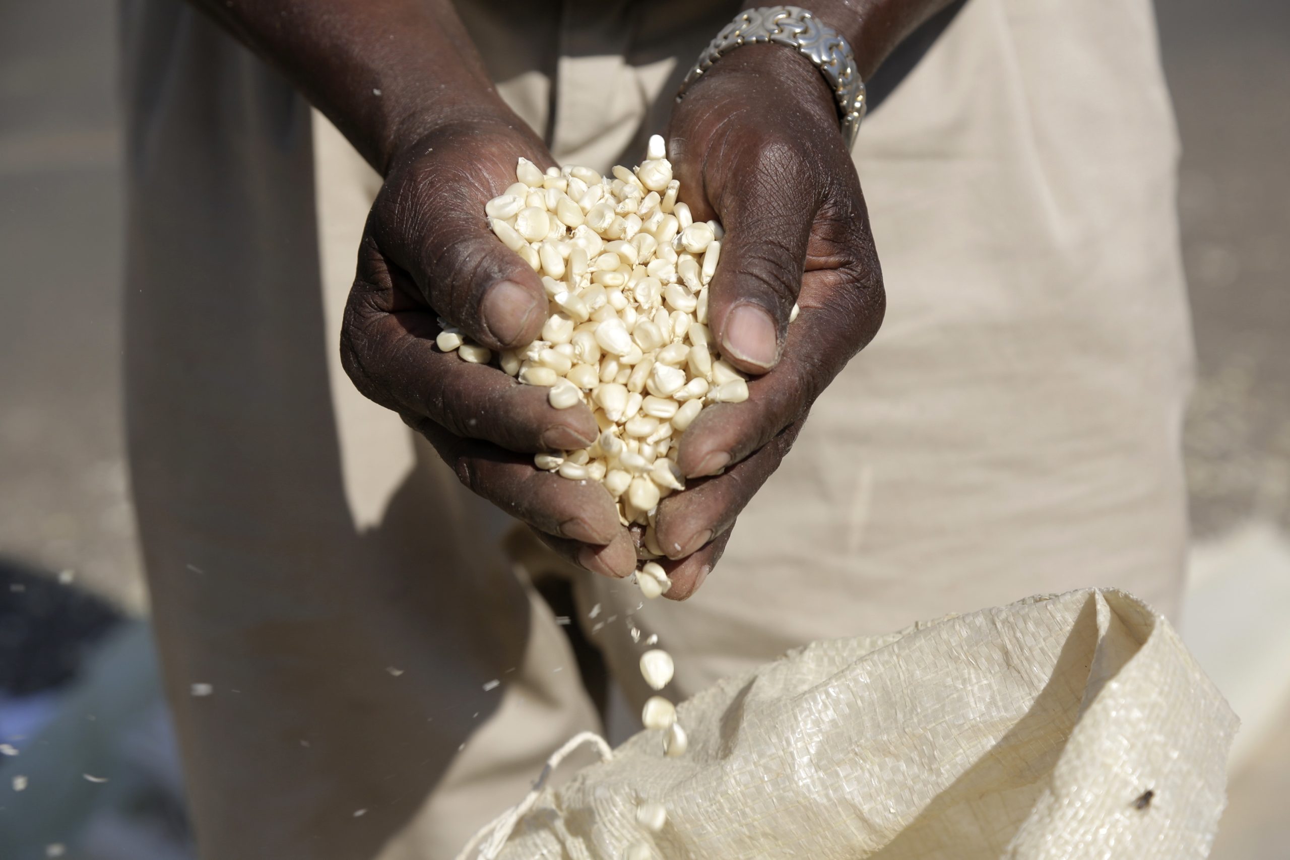 Programa Alimentar Mundial alerta que a fome atingiu o maior número de sempre