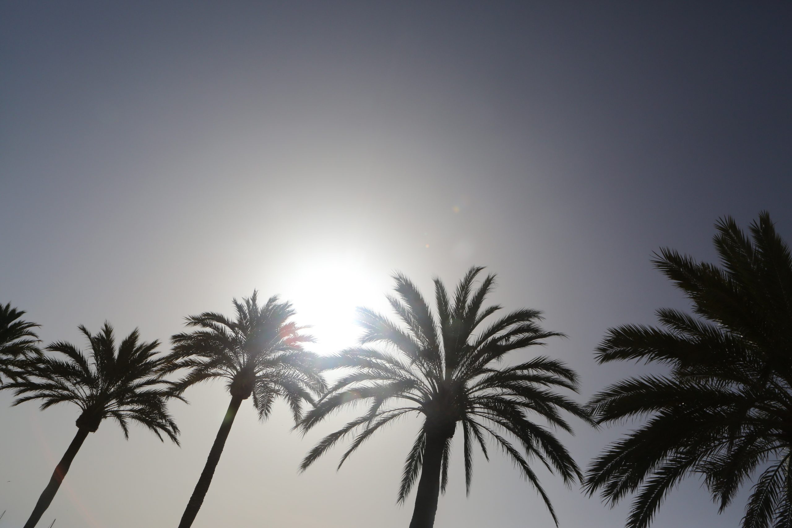 Tempo: Céu pouco nublado e máximas a rondar os 30 graus