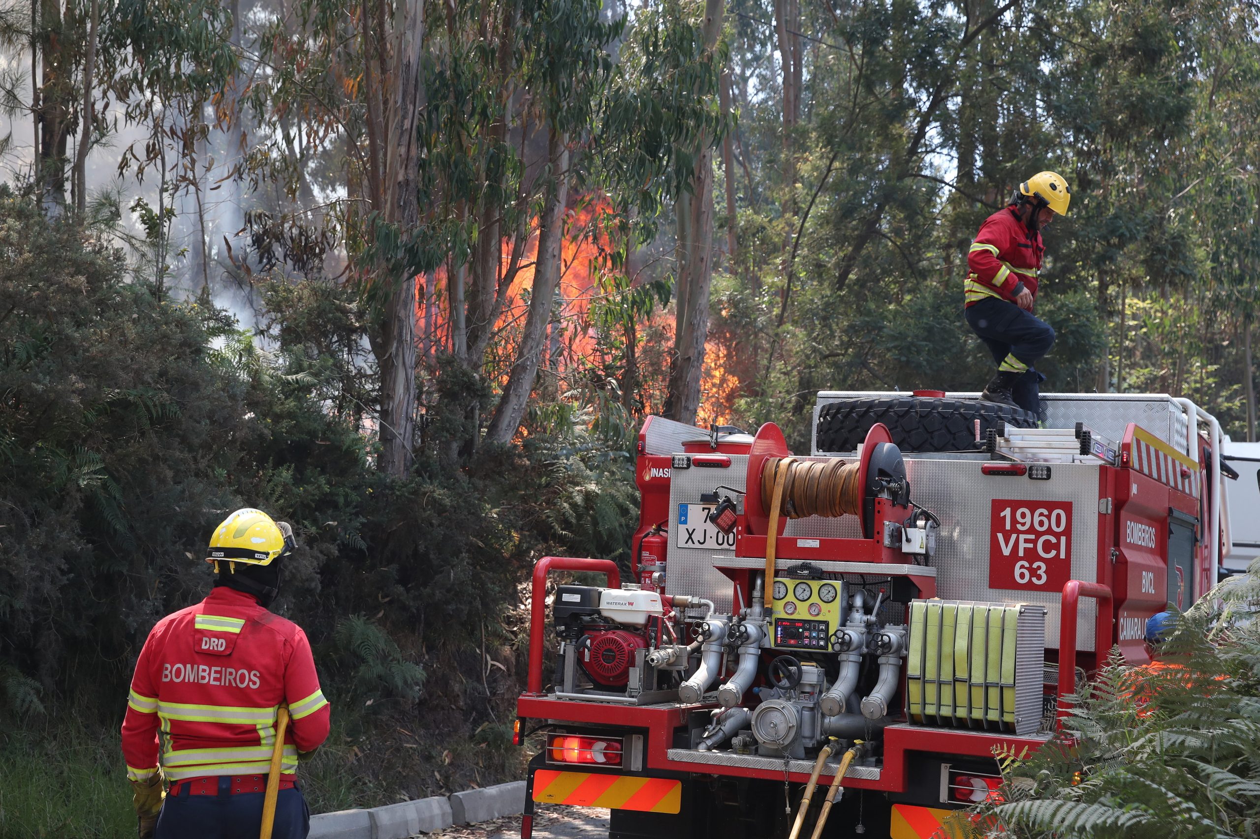 Incêndios/Madeira: continente reforça meios de combate às chamas durante esta tarde