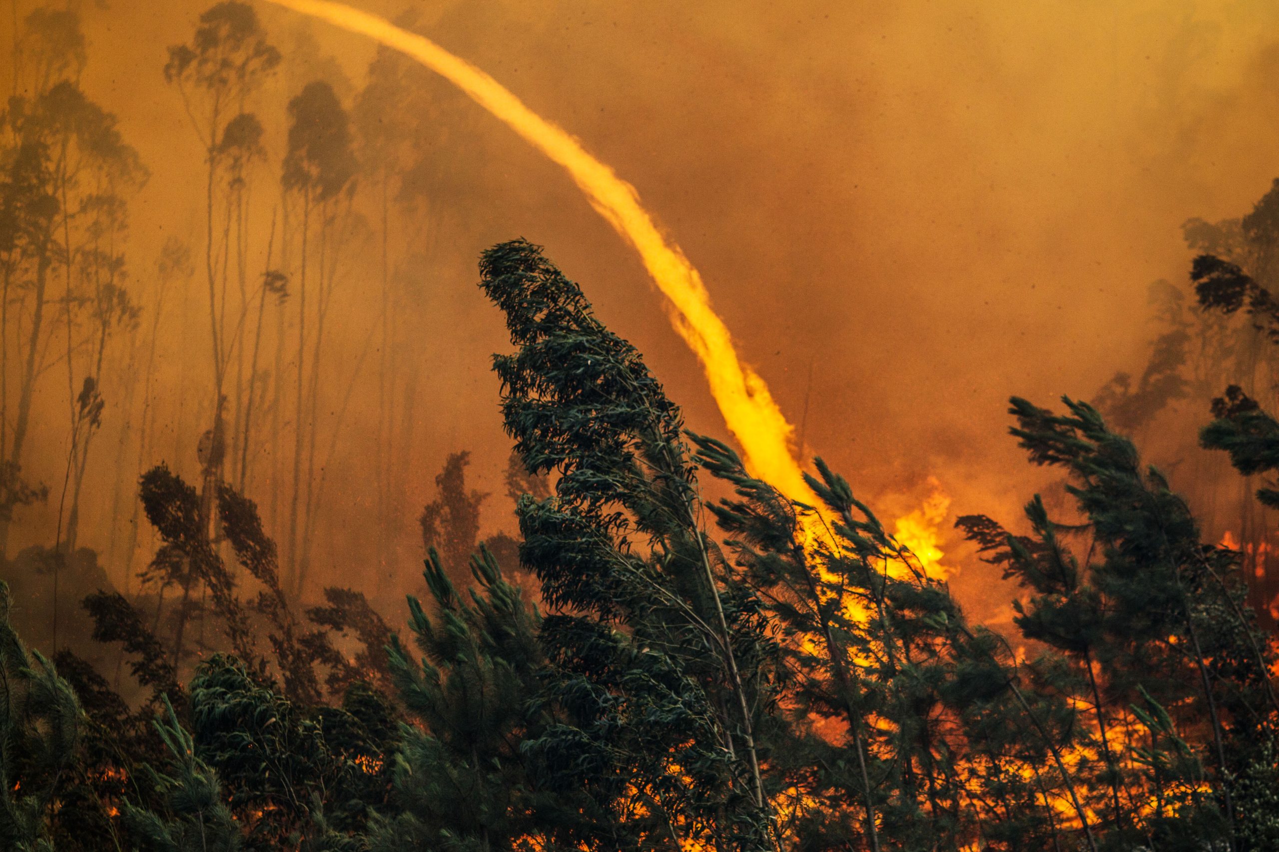 Incêndios: Mais de 300 operacionais e 12 meios aéreos combatem chamas em Alvaiázere