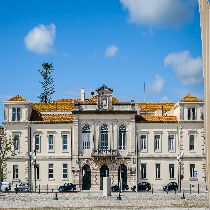 Câmara da Figueira da Foz recua no abate de árvores e reformula projeto