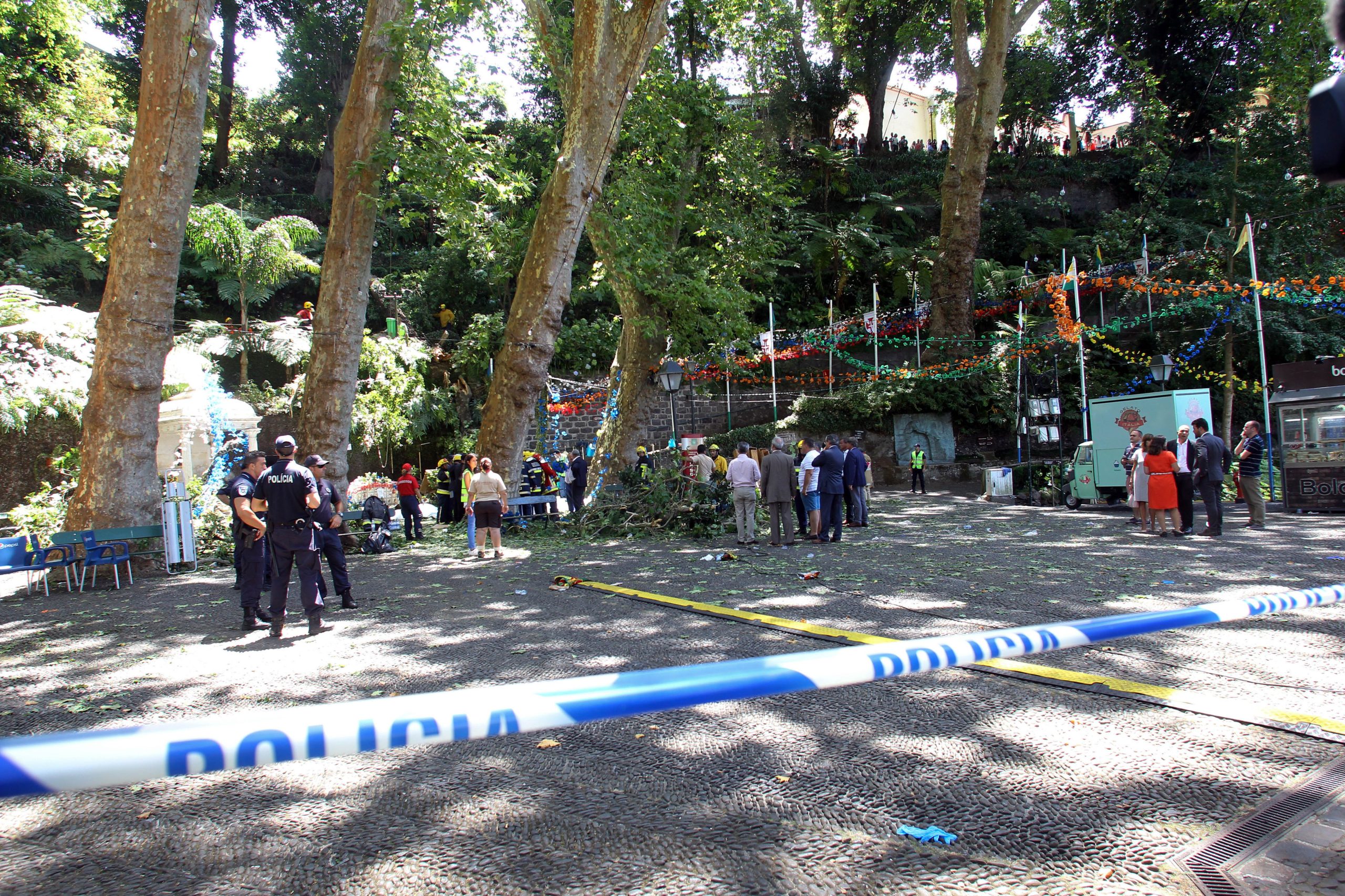 Madeira: Presidente da Câmara do Funchal arguido no processo relativo a queda de árvore