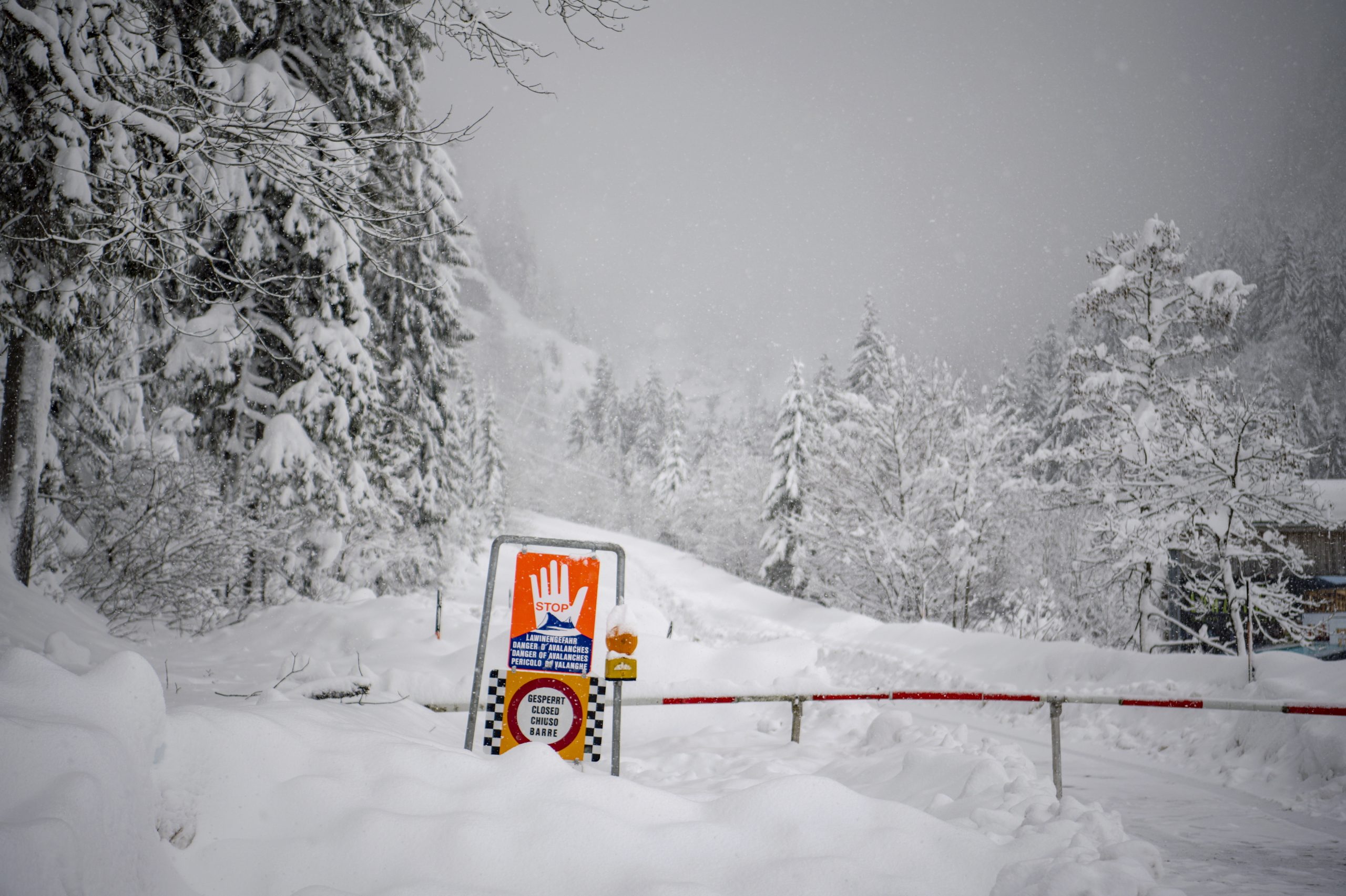 Oito mortos em avalanches na Áustria