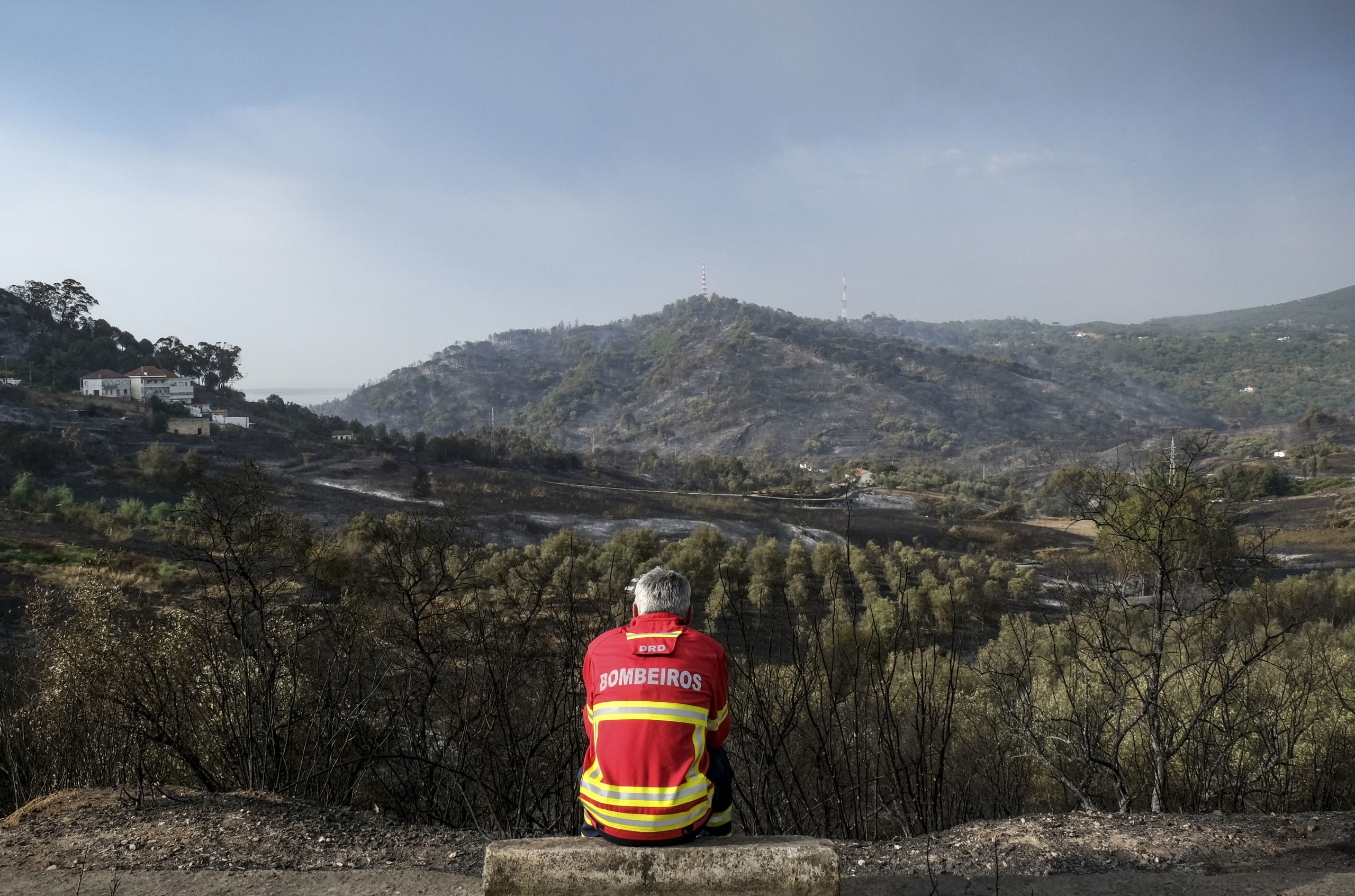 Incêndios: Autarca de Palmela espera publicação governamental para recuperação de área ardida