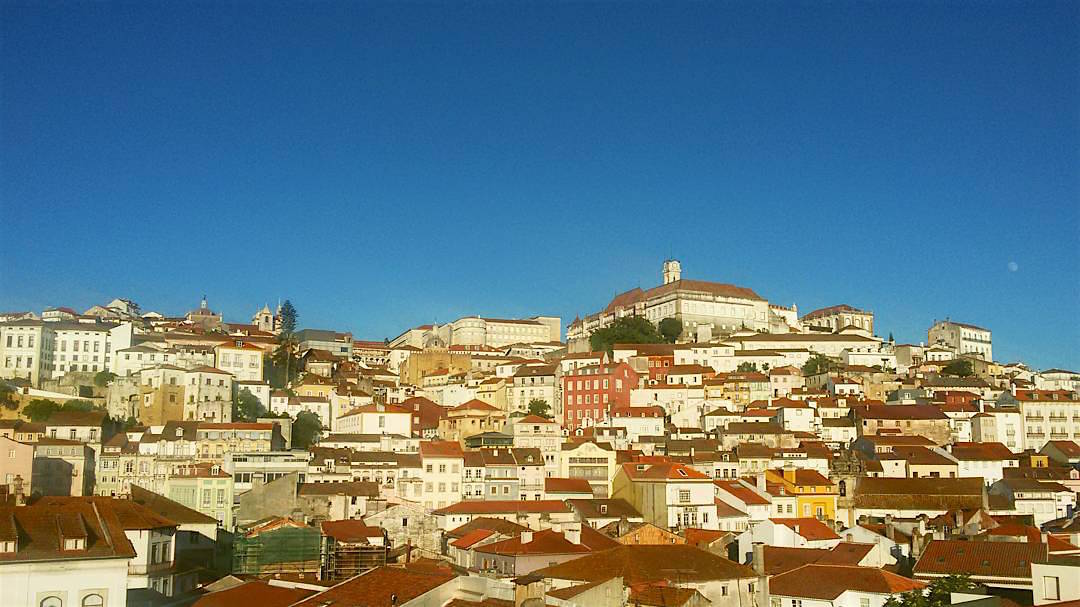 Coimbra recebe na sexta-feira jornadas sobre reabilitação e integração plena das pessoas