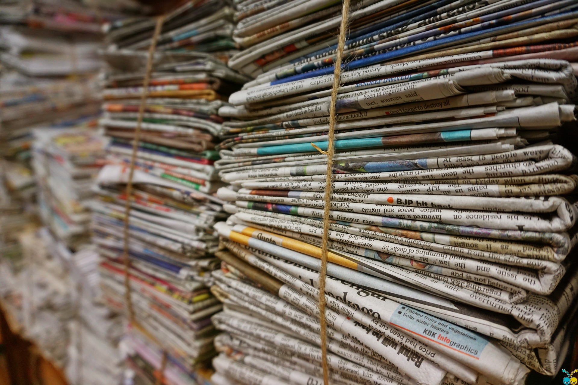Jornalistas pedem investigação a grupos que promovem a desinformação