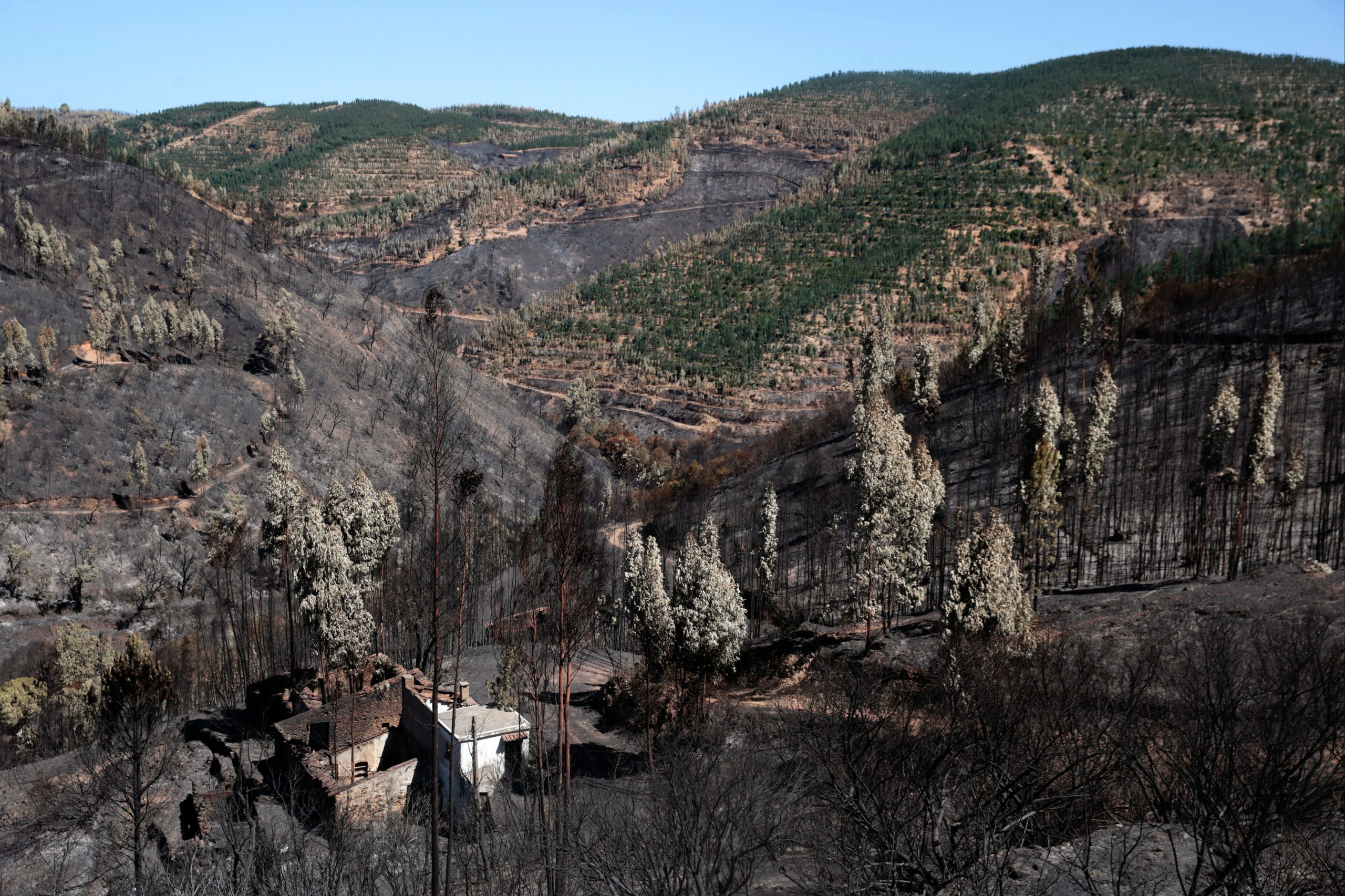 Incêndios. Instalações da NAV afetadas em Monchique mas serviço sem falhas