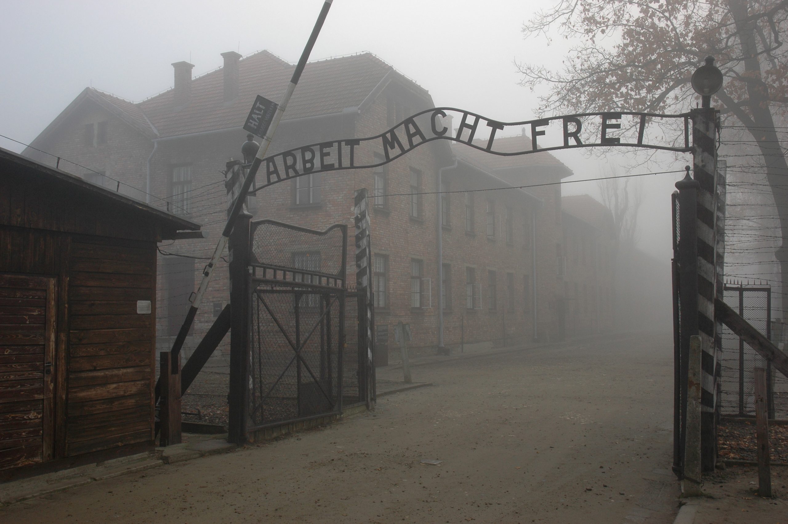 Morreu David Dushman, o último soldado que esteve na libertação do campo de Auschwitz