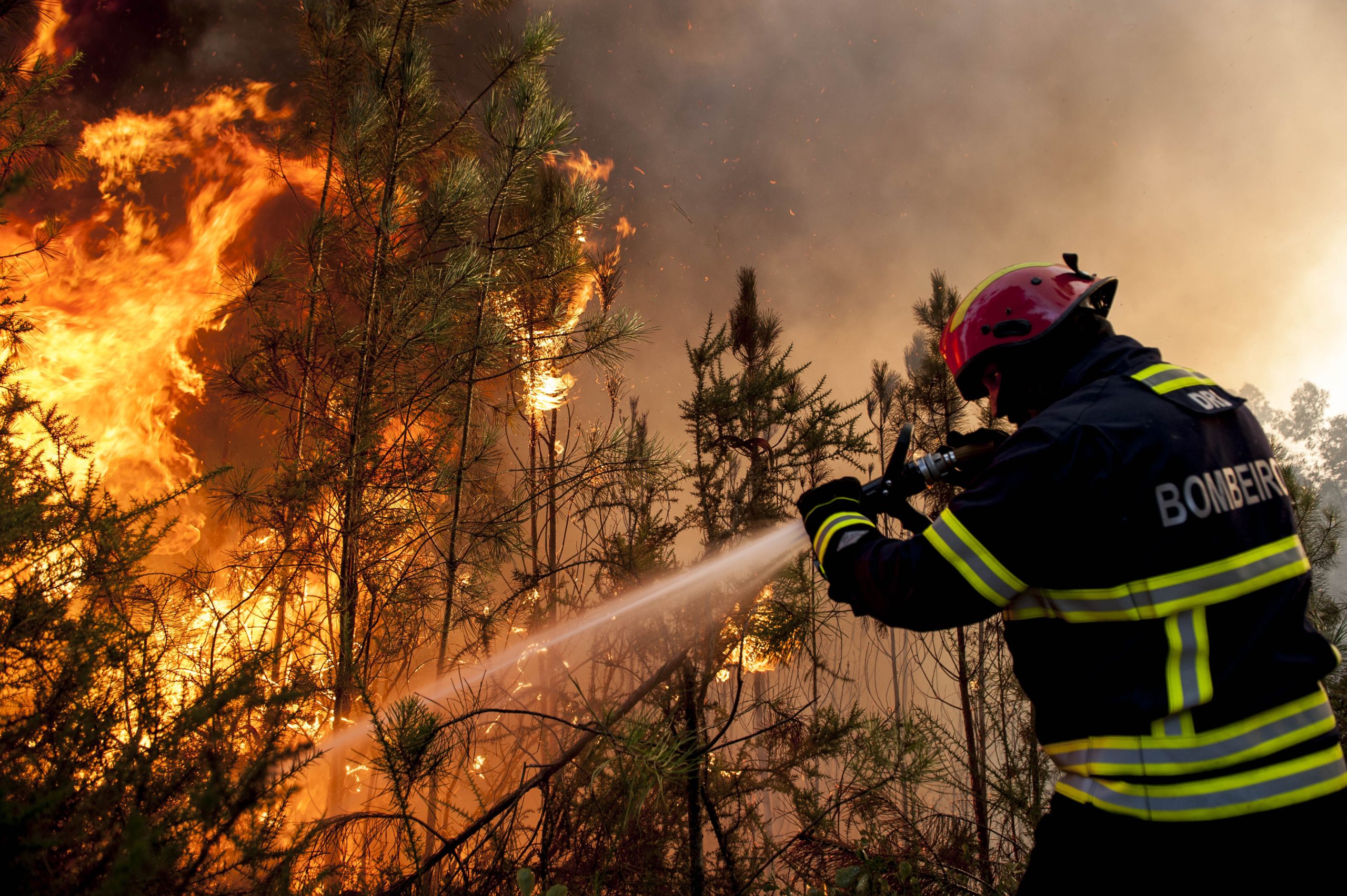 Vários concelhos de cinco distritos com risco ‘elevado’ de incêndio
