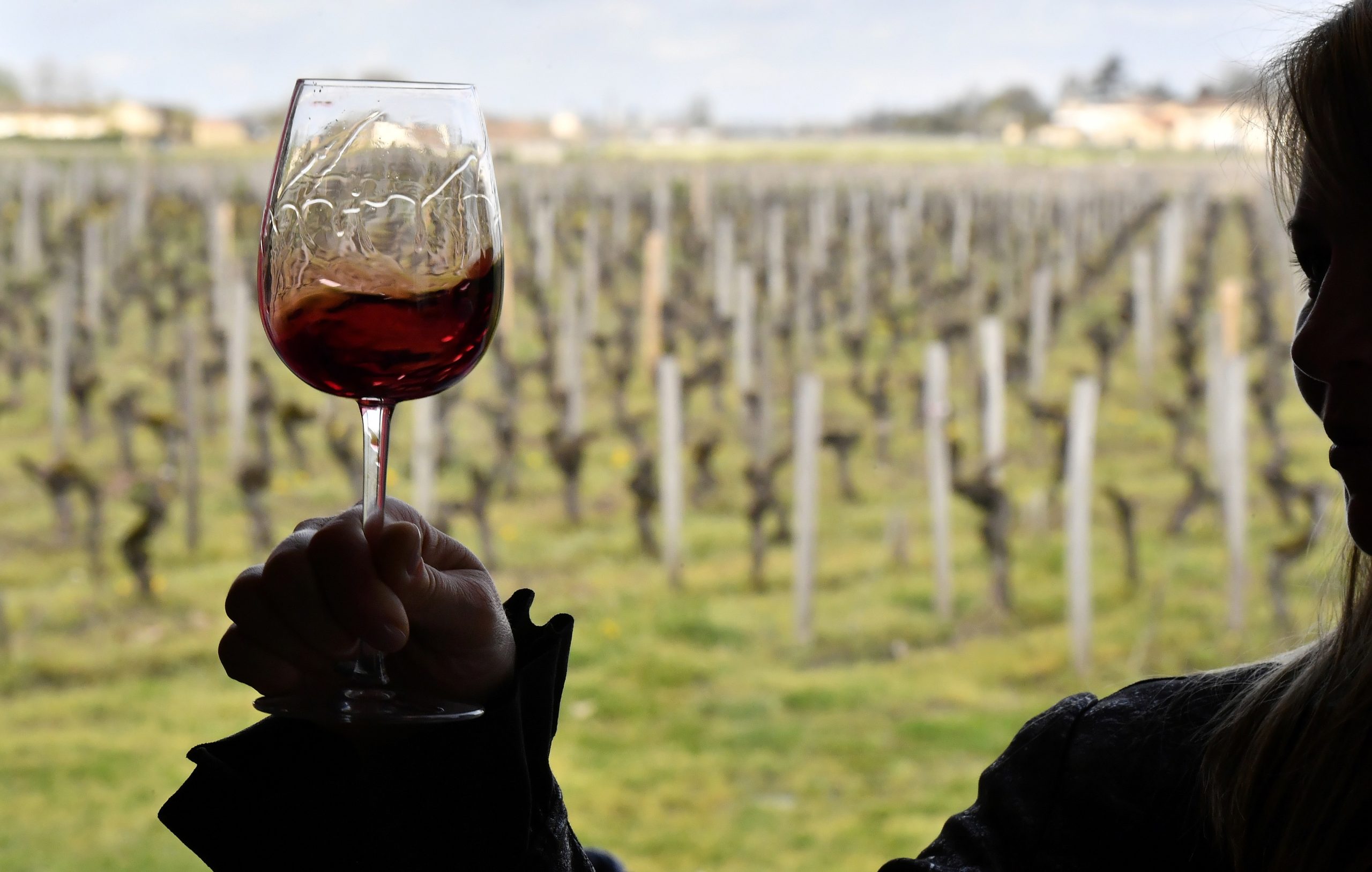 Produção cai até 50% e custos aumentam. Os portugueses vão pagar mais pelo vinho?