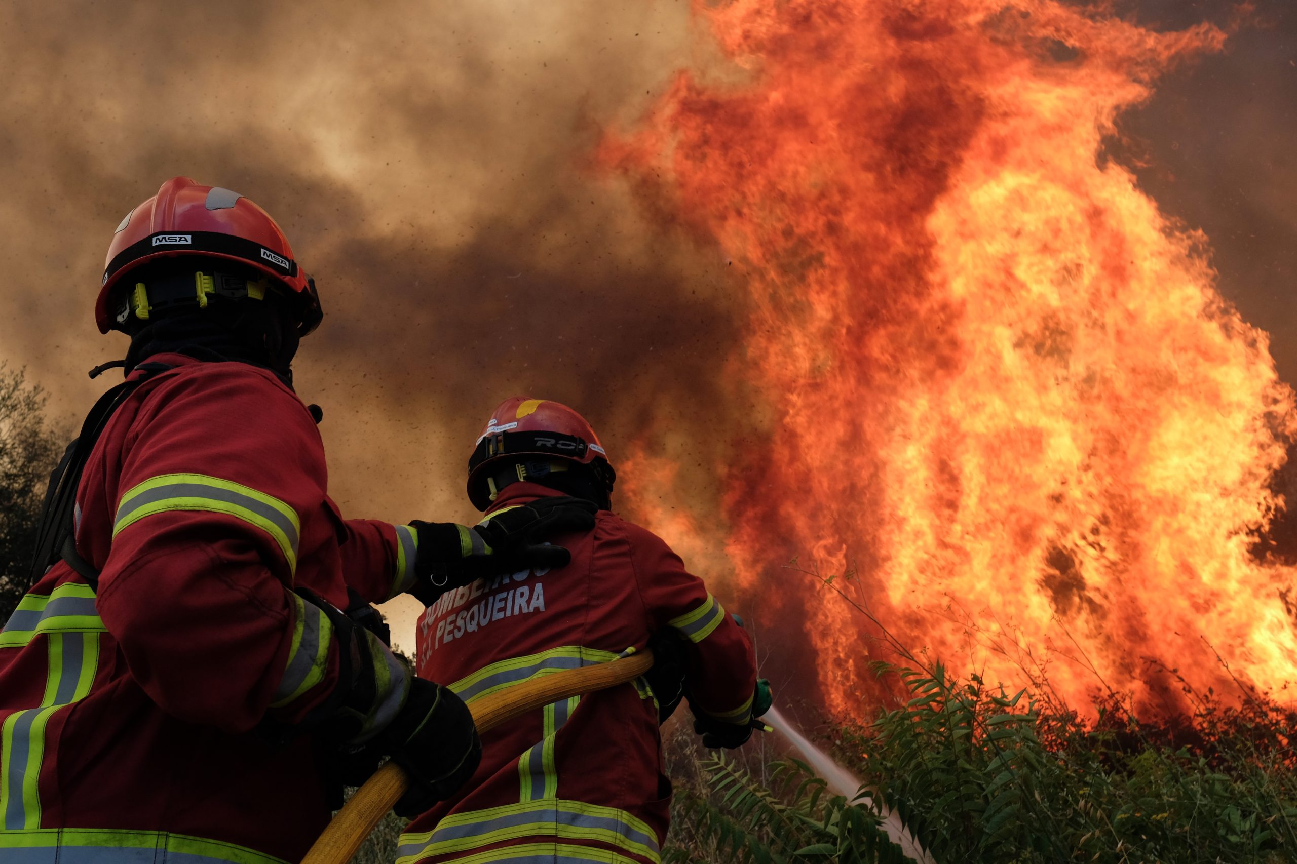 Incêndios: Situação em Nisa é a mais preocupante para a Proteção Civil