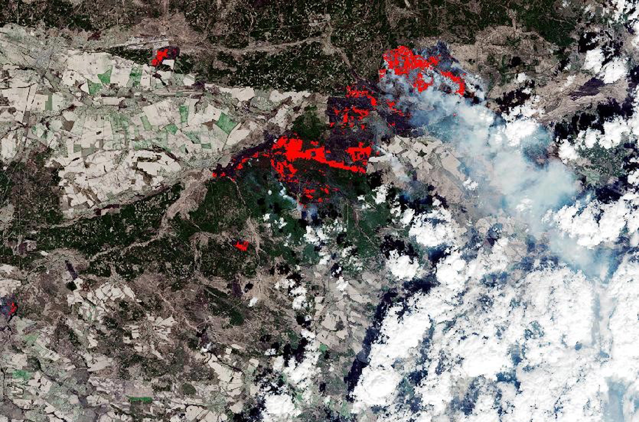 Kiev coberta de fumo devido aos incêndios descontrolados perto de Chernobyl