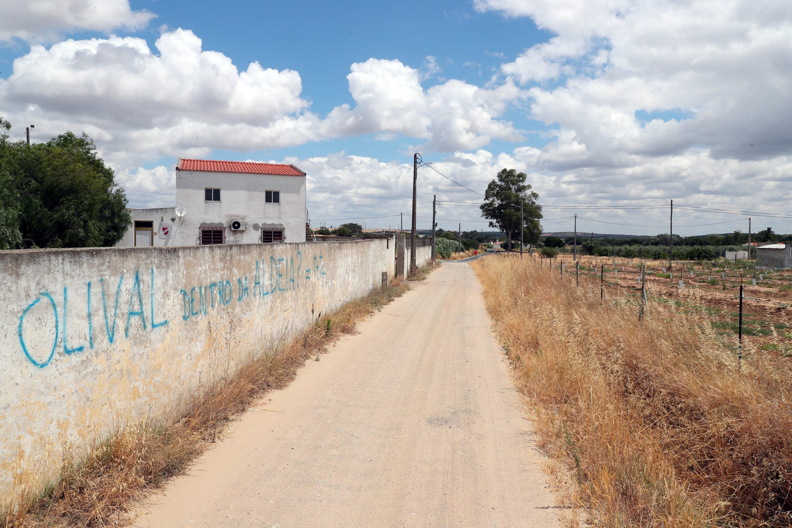 Quercus pede declaração de estado de emergência climática para o Alentejo