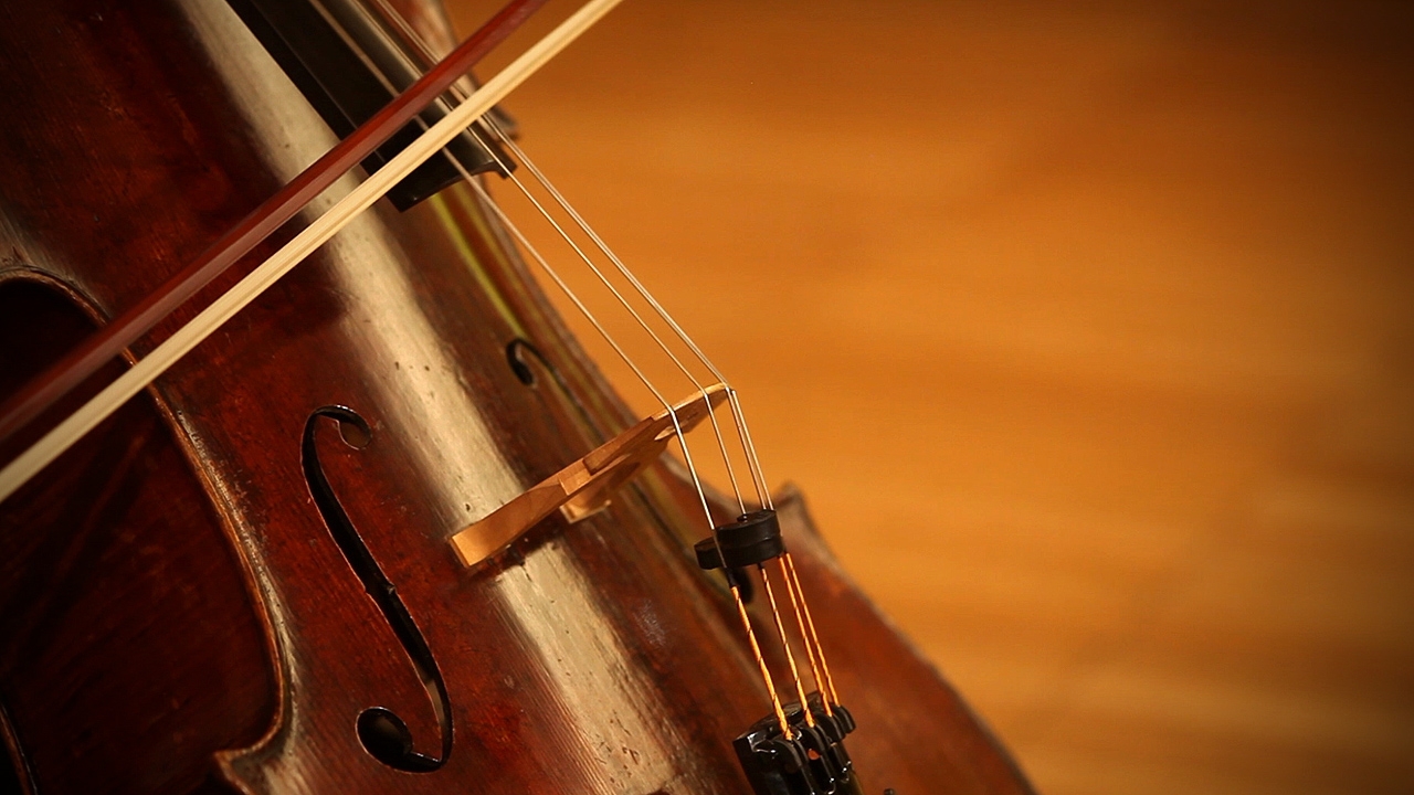 Museu do Porto homenageia Guilhermina Suggia, a primeira mulher a fazer carreira internacional como violoncelista
