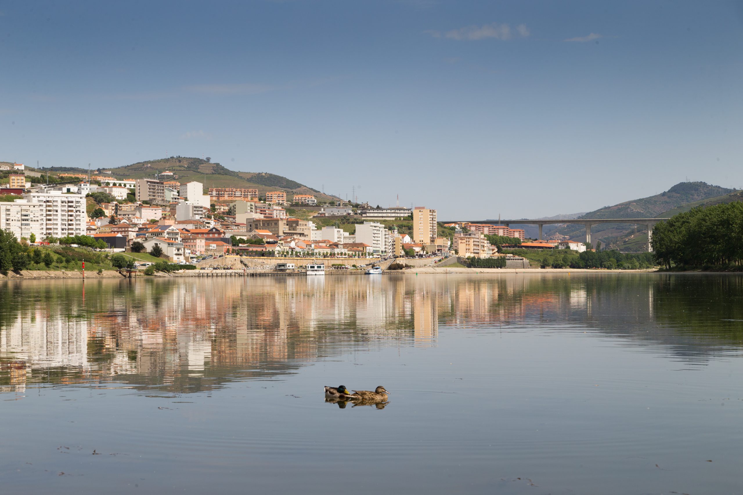 Pingo Doce da Régua já abriu portas depois de um reforço de segurança