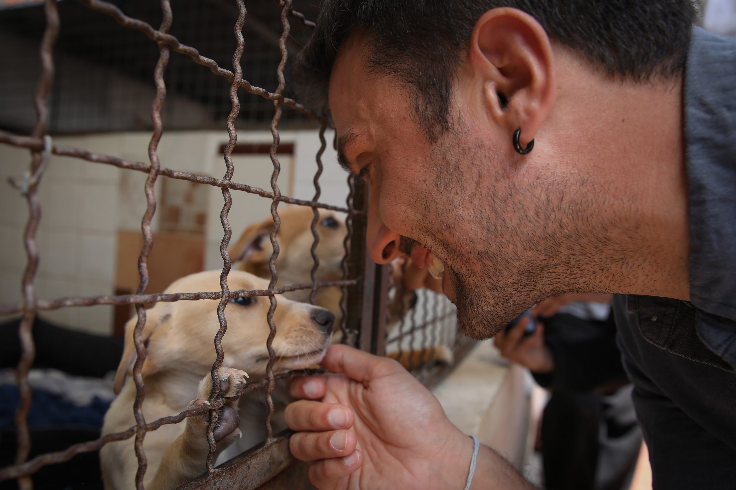 Europeias: PAN dá voz às associações protetoras dos animais em visita à União Zoófila