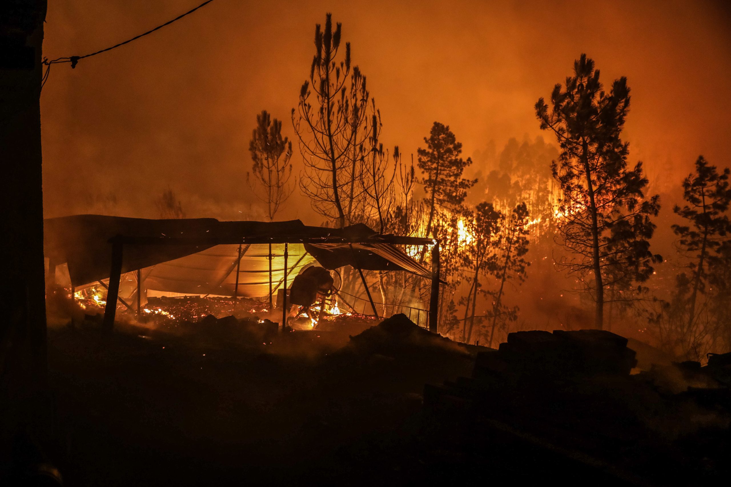 Incêndios. ICNF já executou 1.730 hectares de faixas de gestão de combustível