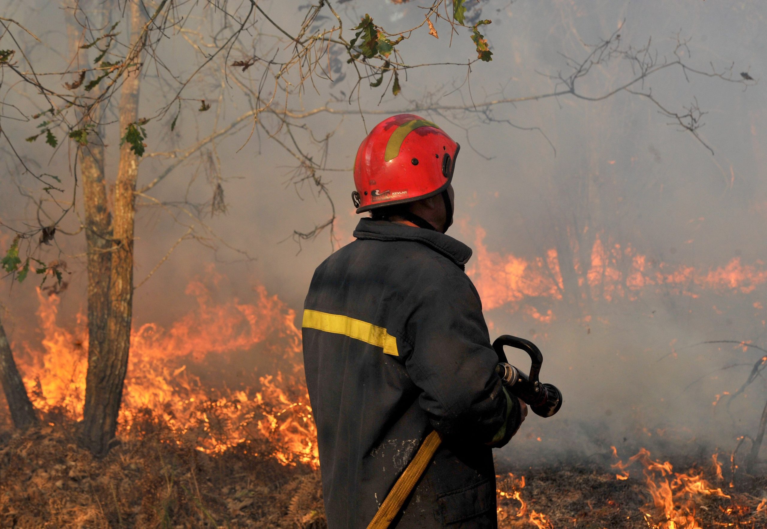 Incêndios em Mação: Chamas em Amêndoa quase apagadas, Envendos ainda com zonas ativas