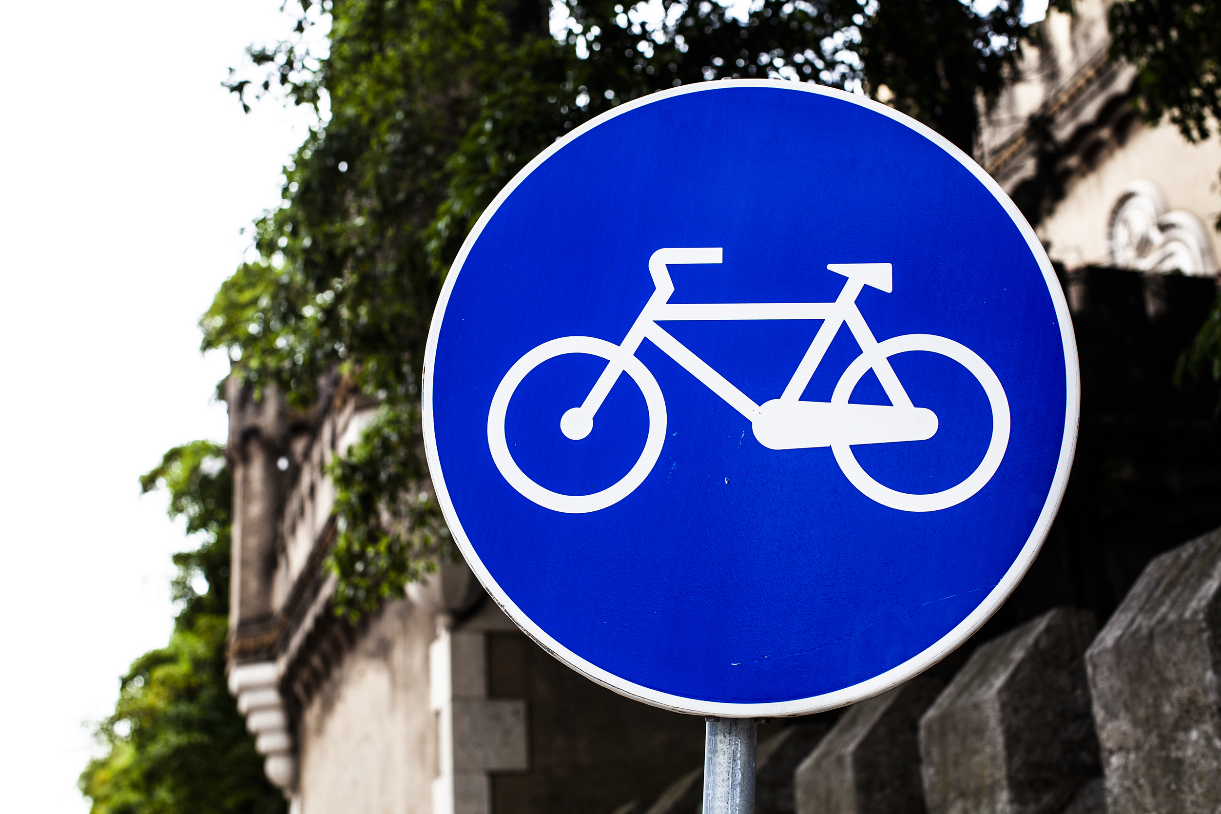 Nova ciclovia vai ligar Asprela a Campanhã em 2026. Haverá condicionamentos de trânsito e estacionamento durante as obras