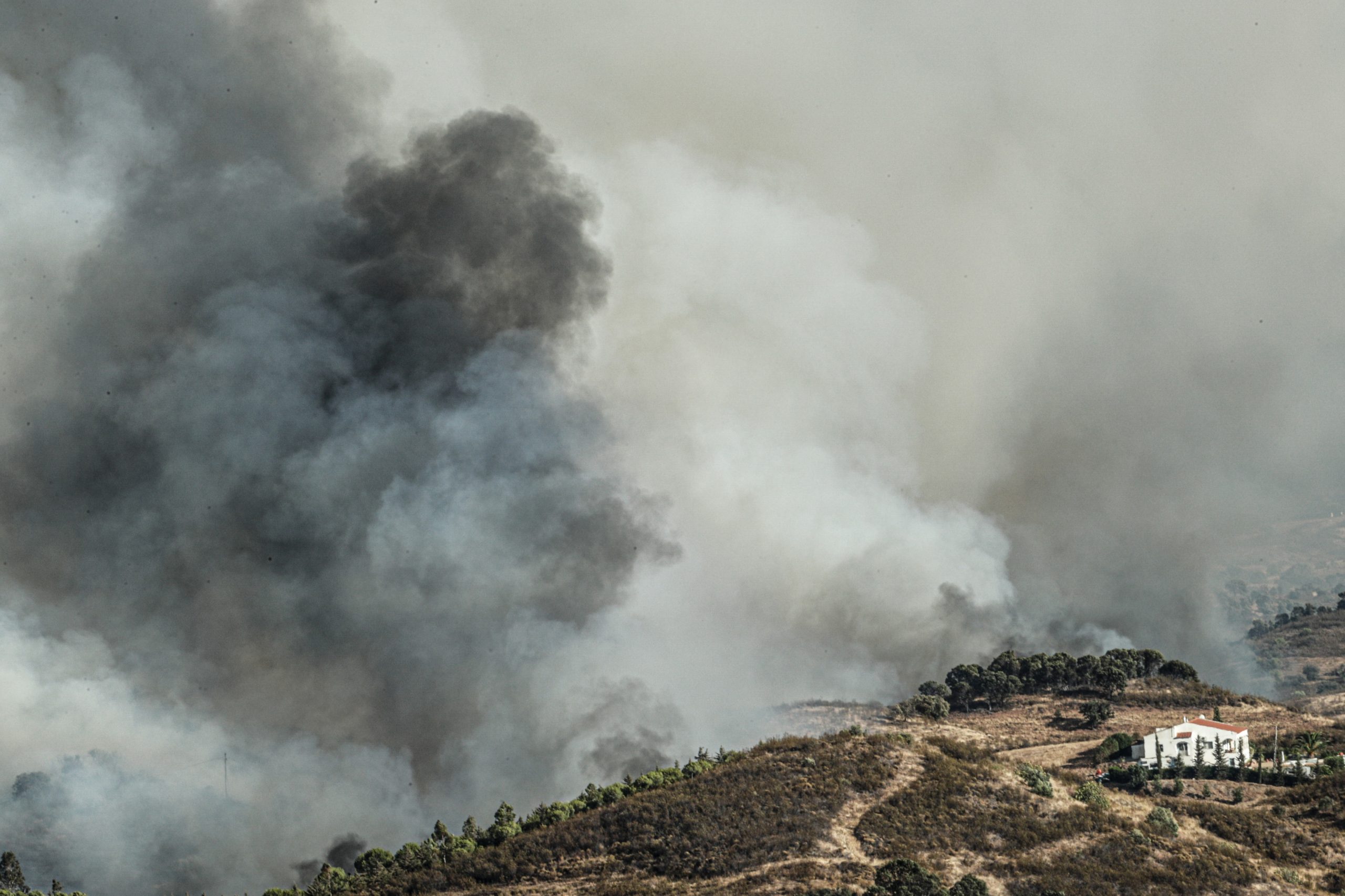 Incêndio em Castro Marim. Governo abre inquérito à morte de animais em abrigo ilegal