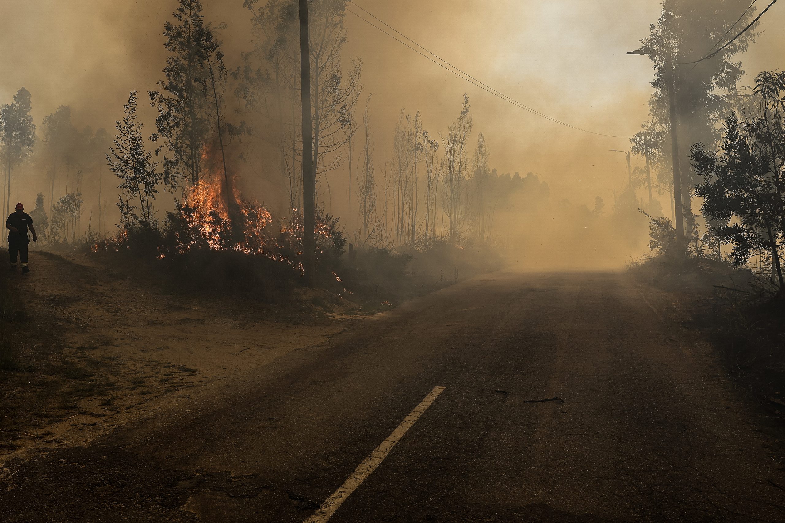 Incêndios: Fogo em Coimbra em fase de resolução