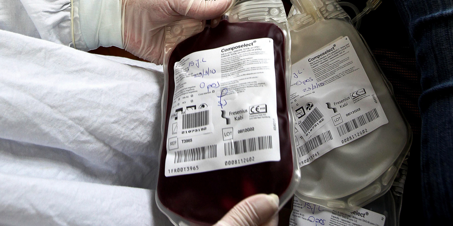 Pode dar sangue? Hospital de Almada faz apelo à dádiva
