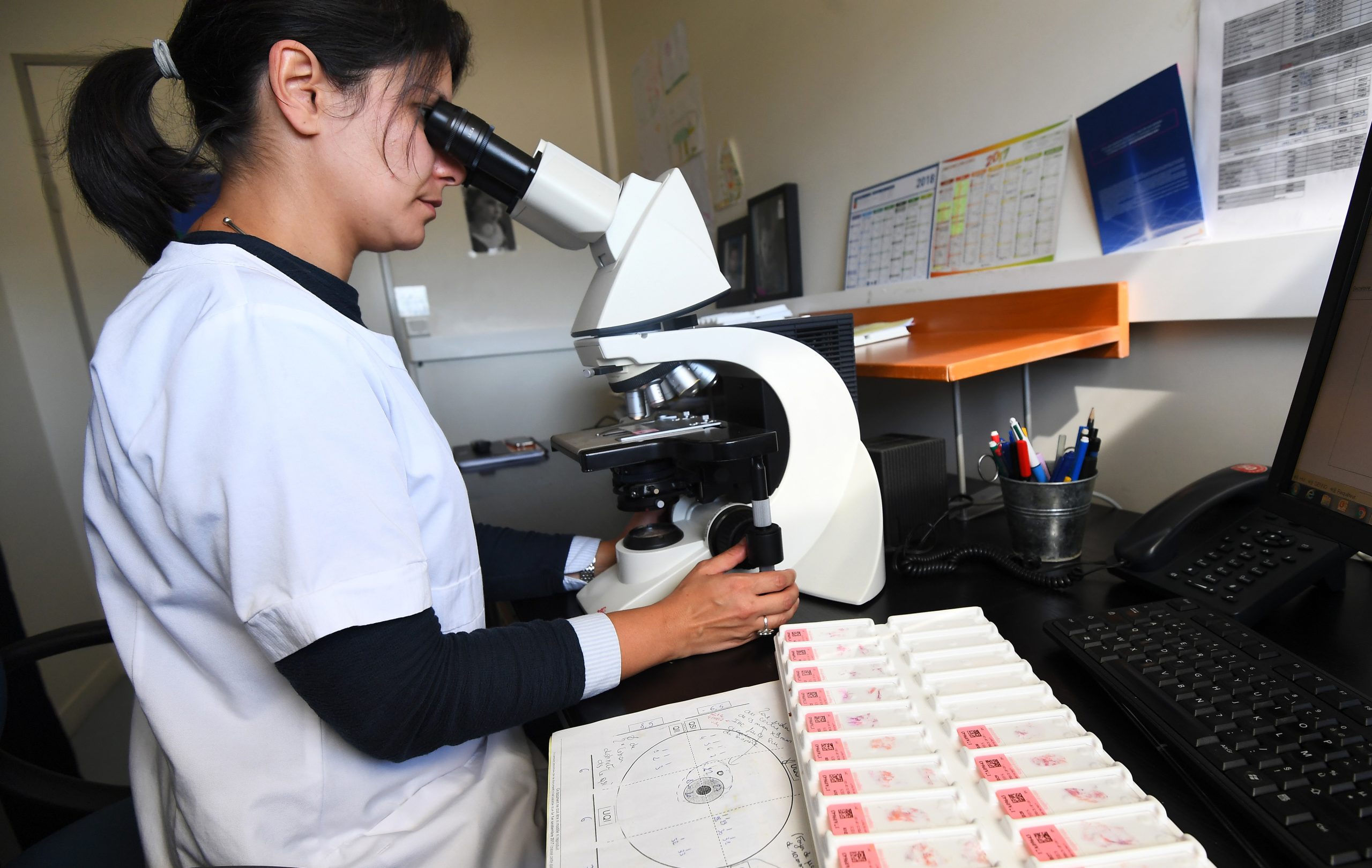 Nova técnica permite criar em pouco tempo e baixo custo um órgão-em-chip