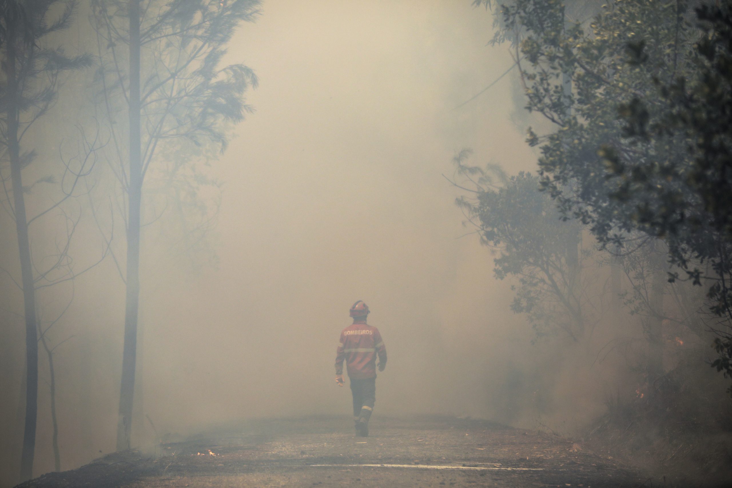 Incêndios: Fogo em Abrantes em resolução