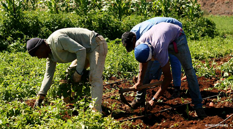 CAP nega “guerra aberta” com Governo por causa dos projetos do PDR 2020