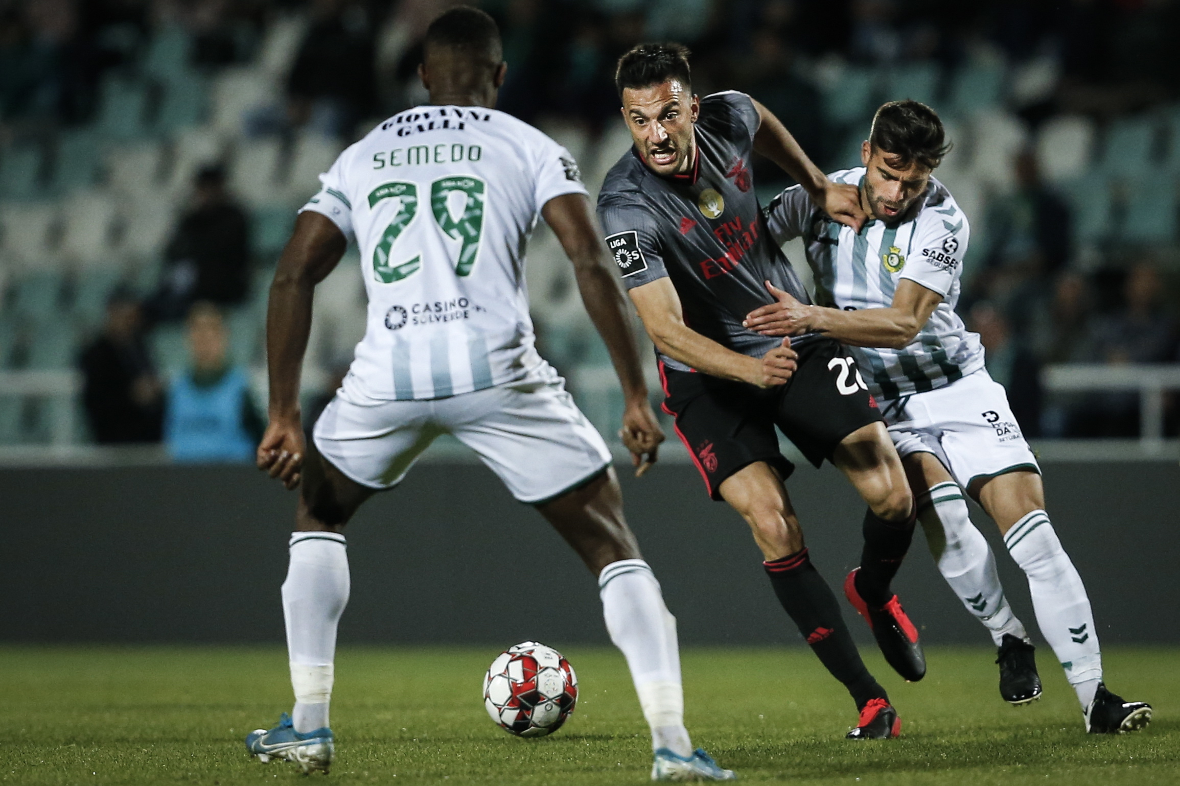 Conselho de Disciplina da FPF vai acompanhar ritmo diário da I Liga