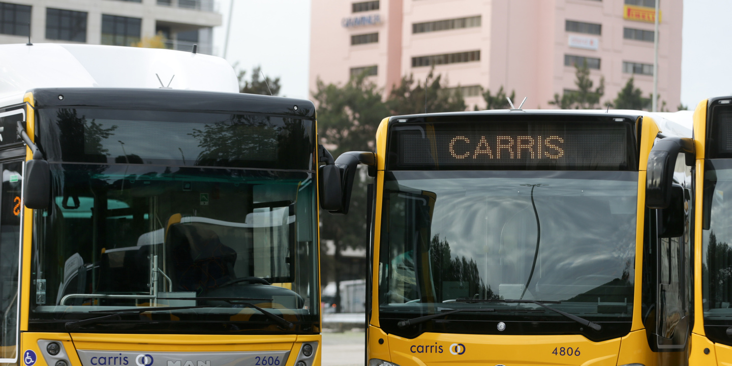 JMJ: Carris transportou mais de 700 mil passageiros no primeiro dia do evento