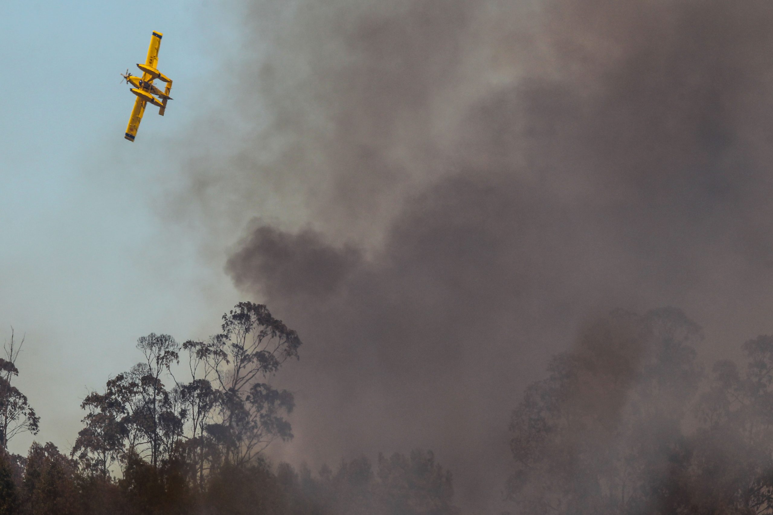 Treze concelhos de quatro distritos do continente em risco ‘máximo’ de incêndio