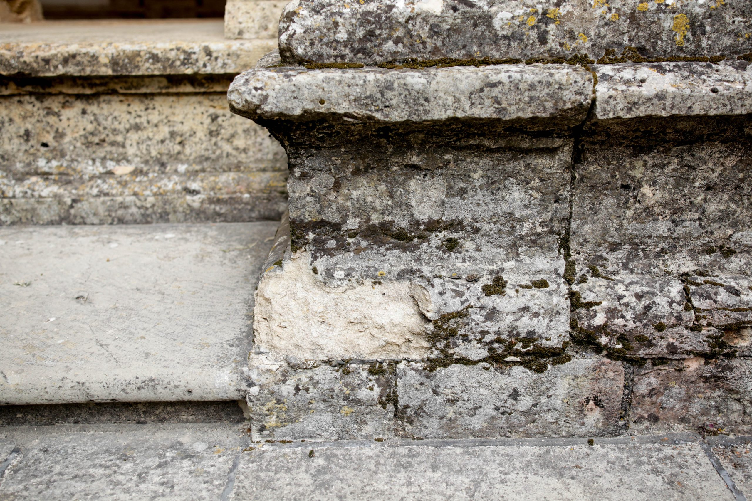 “No Rasto da Devoção” mostra escultura de pedra no Convento de Cristo a partir de dia 31