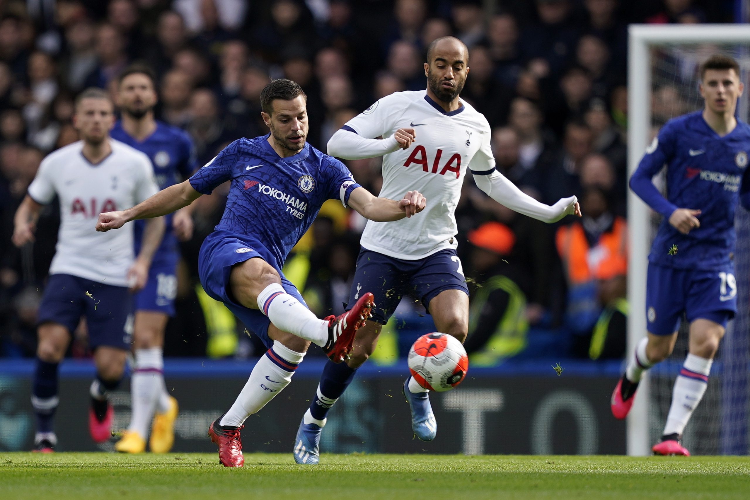 Chelsea vs Tottenham 