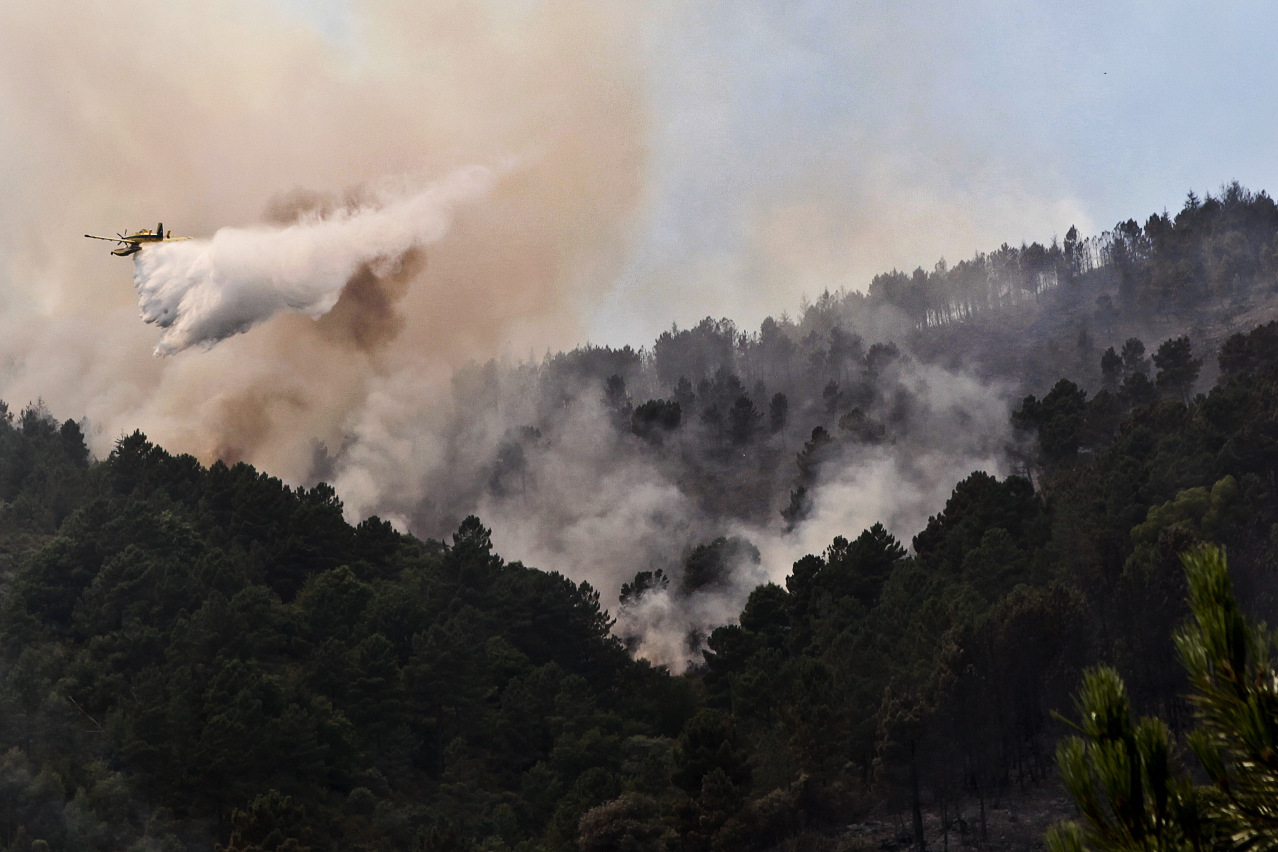Nove meios aéreos e mais de 150 bombeiros combatem fogo na serra da Estrela