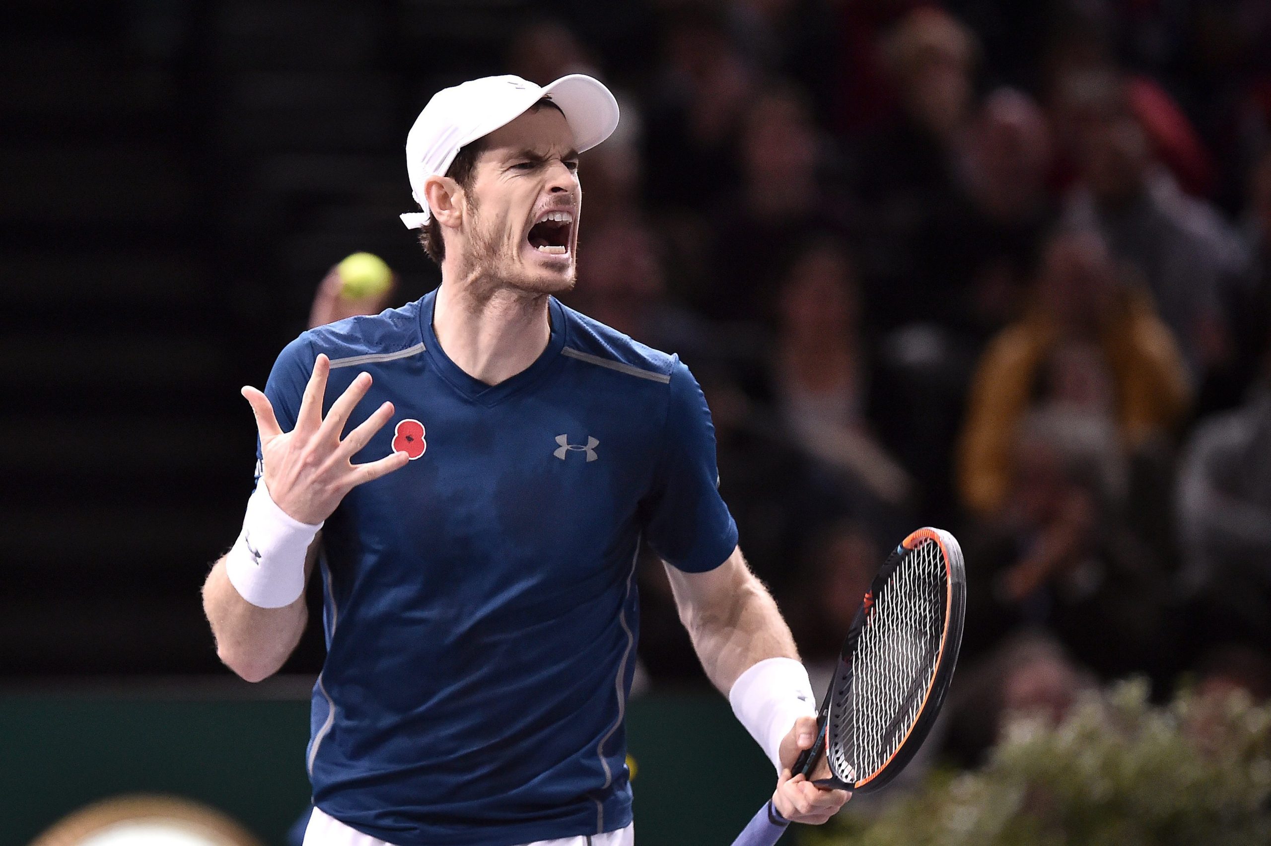 Andy Murray vai falhar o Open da Austrália