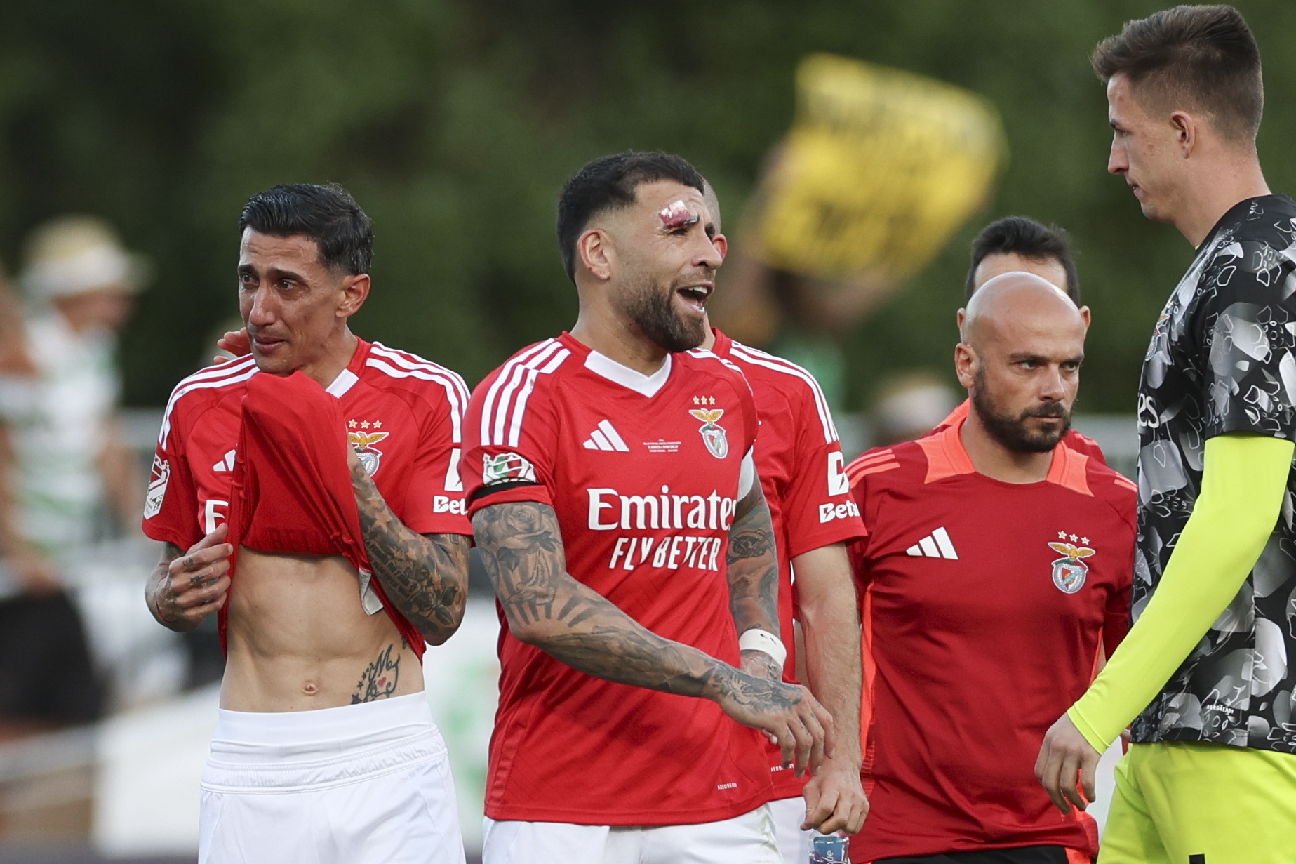 Benfica avança com participações disciplinares e fecha Estádio da Luz à seleção nacional