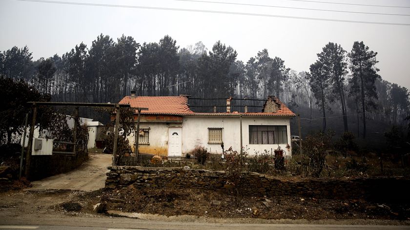 Incêndios: Infraestruturas de Portugal investe 13 milhões na limpeza das bermas na rodovia e ferrovia