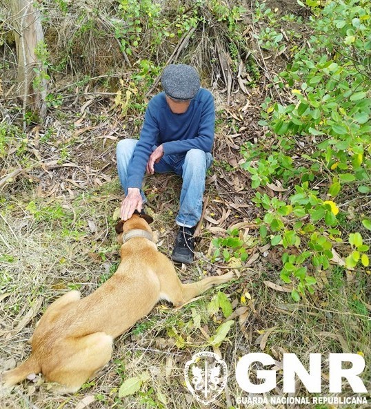 GNR localiza, com vida, idoso que estava desaparecido em Torres Vedras